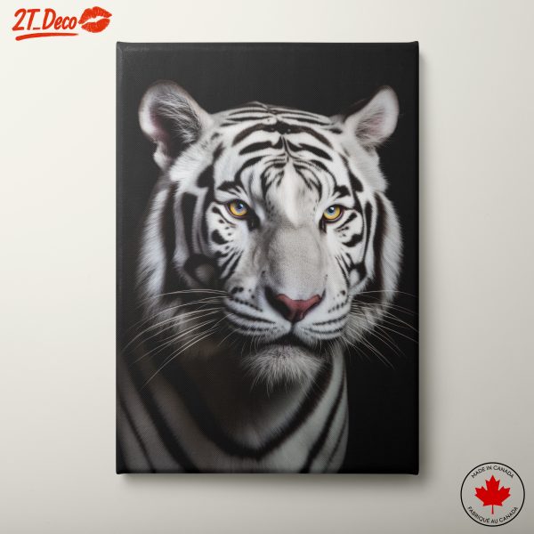 Stunning Portrait of a White Tiger