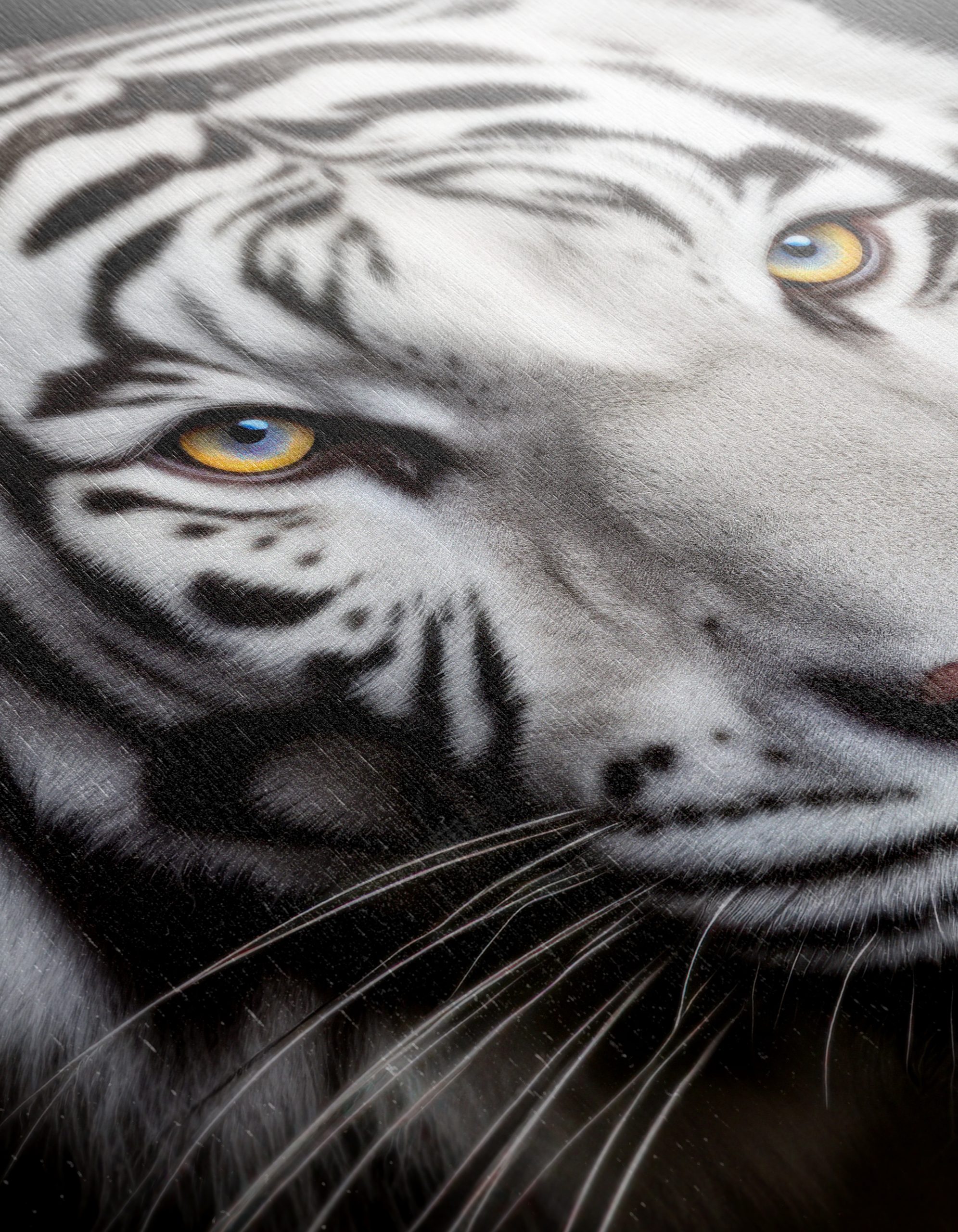 Stunning Portrait of a White Tiger - Image 12