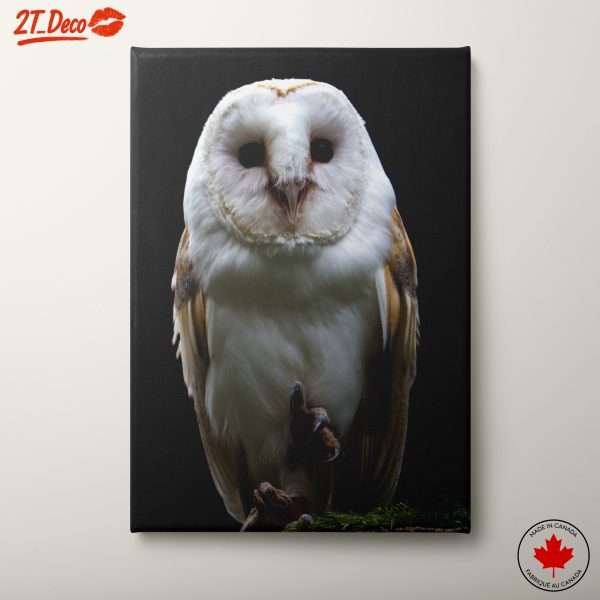 Realistic Barn Owl Artwork for Home Decor