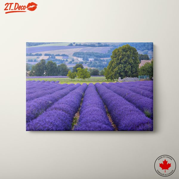 Lavender Field Landscape Art