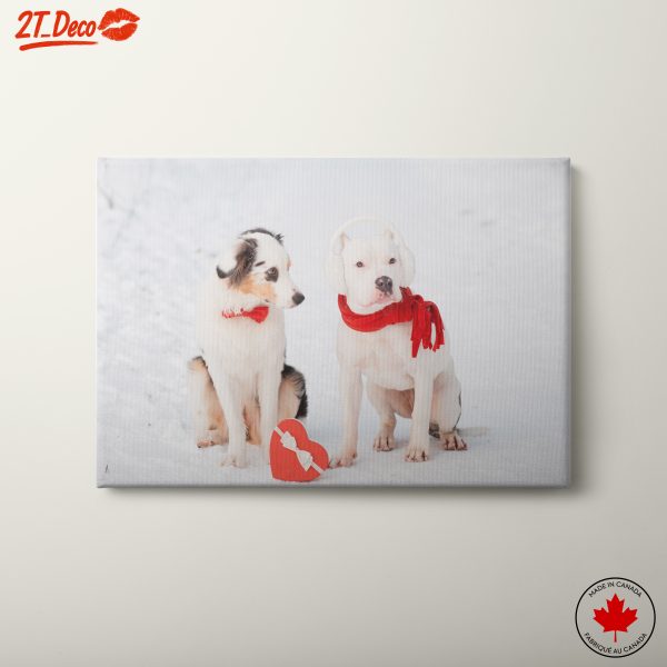 Playful Dogs in Winter Scene