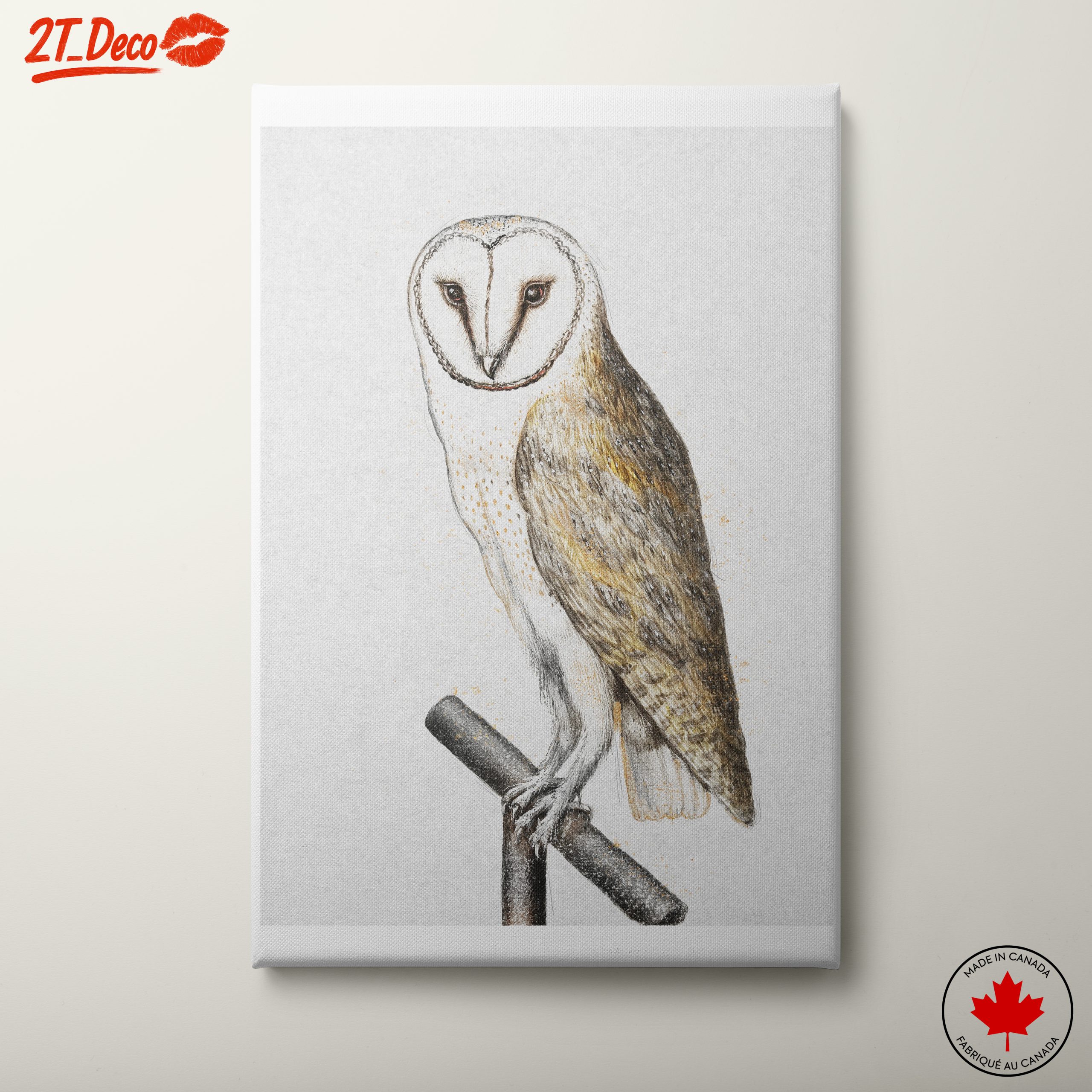 Illustration of a Barn Owl Perched