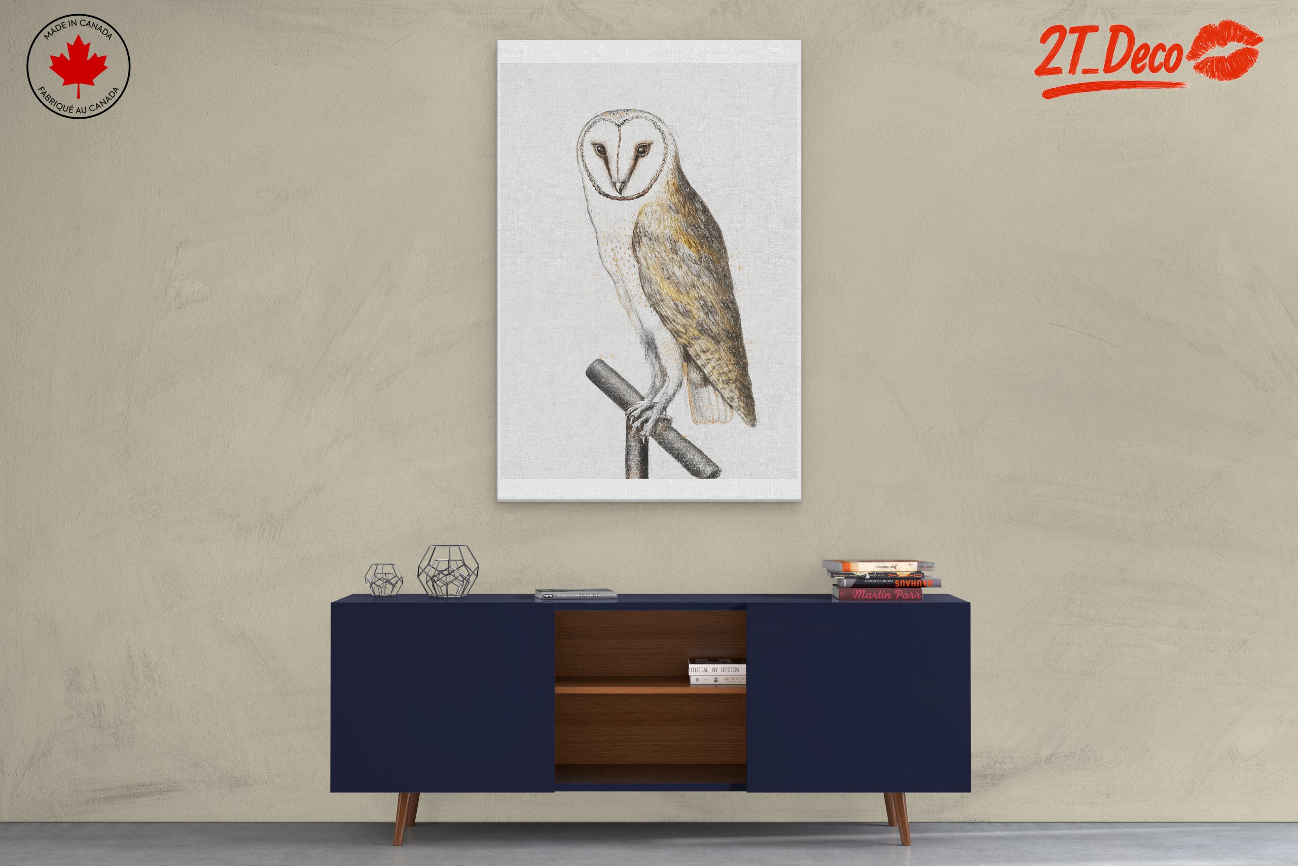 Illustration of a Barn Owl Perched - Image 3