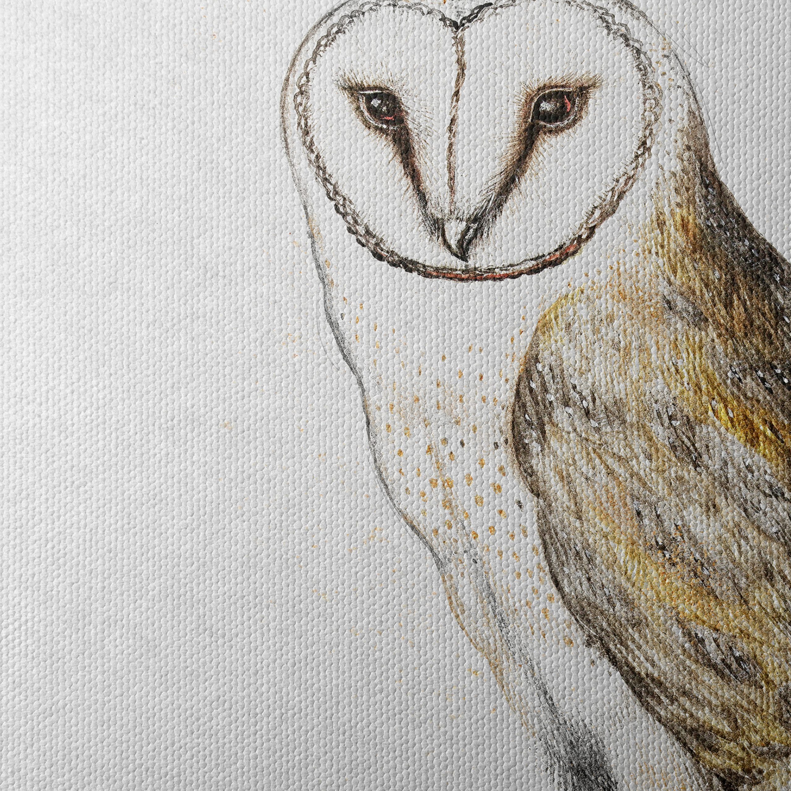 Illustration of a Barn Owl Perched - Image 4