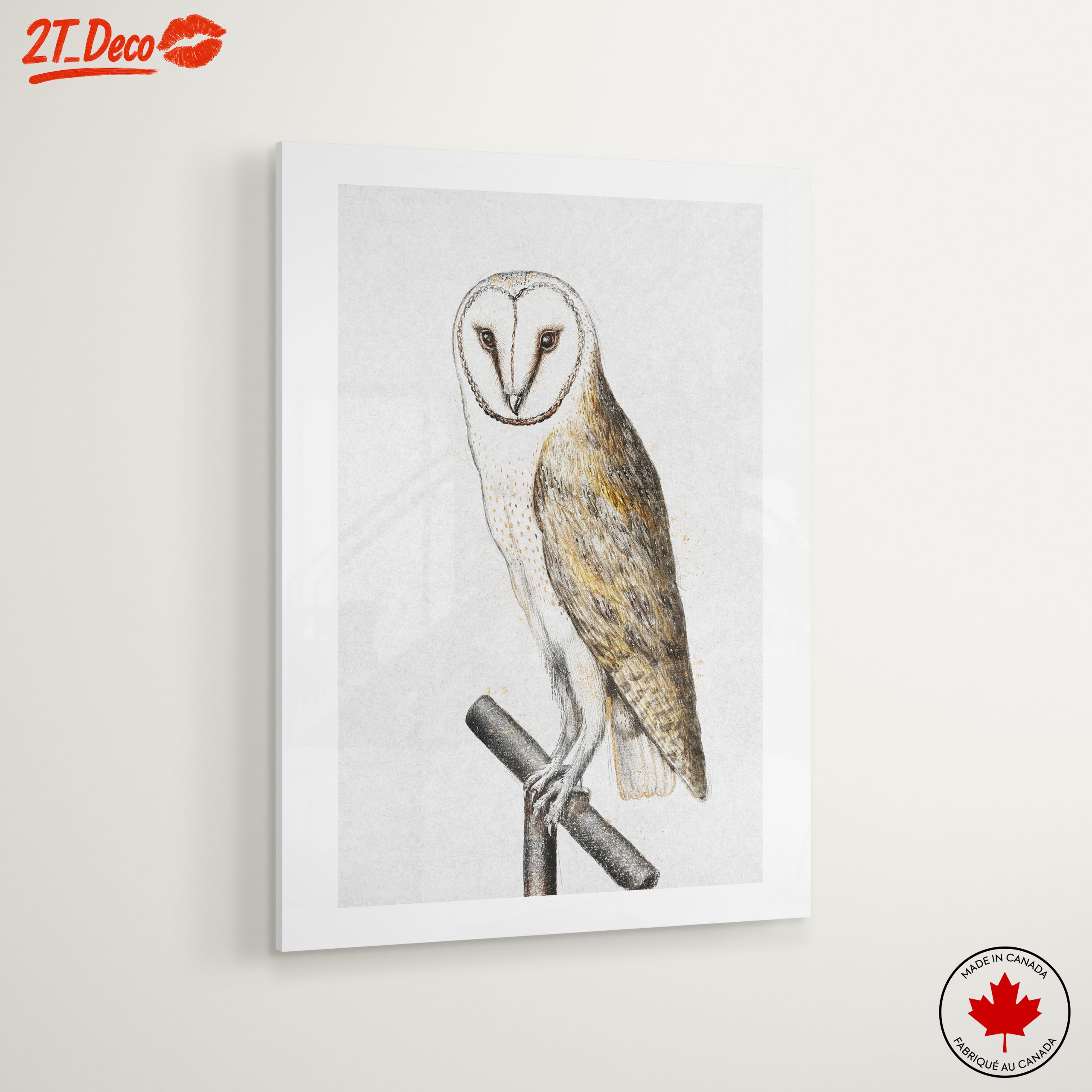 Illustration of a Barn Owl Perched - Image 6