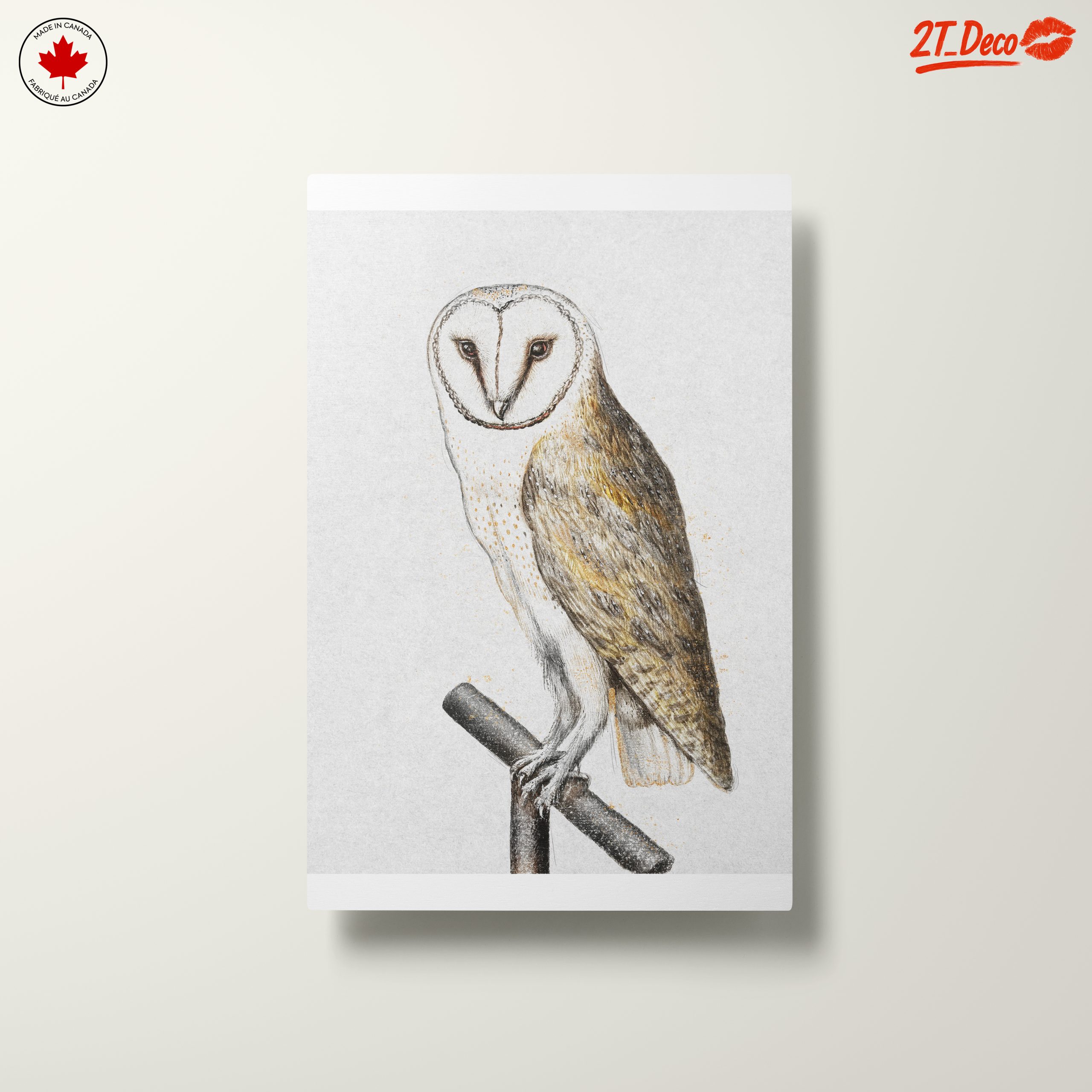 Illustration of a Barn Owl Perched - Image 10