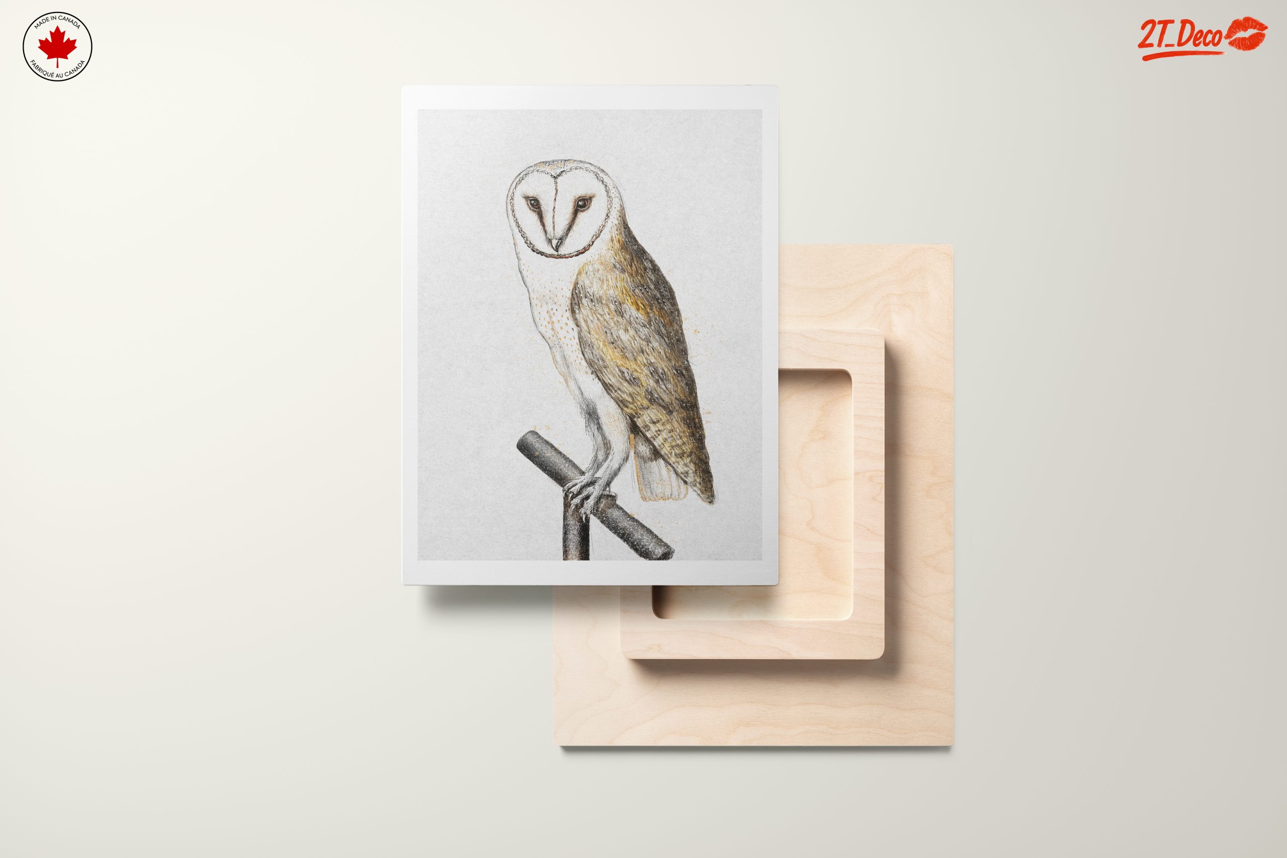 Illustration of a Barn Owl Perched - Image 11