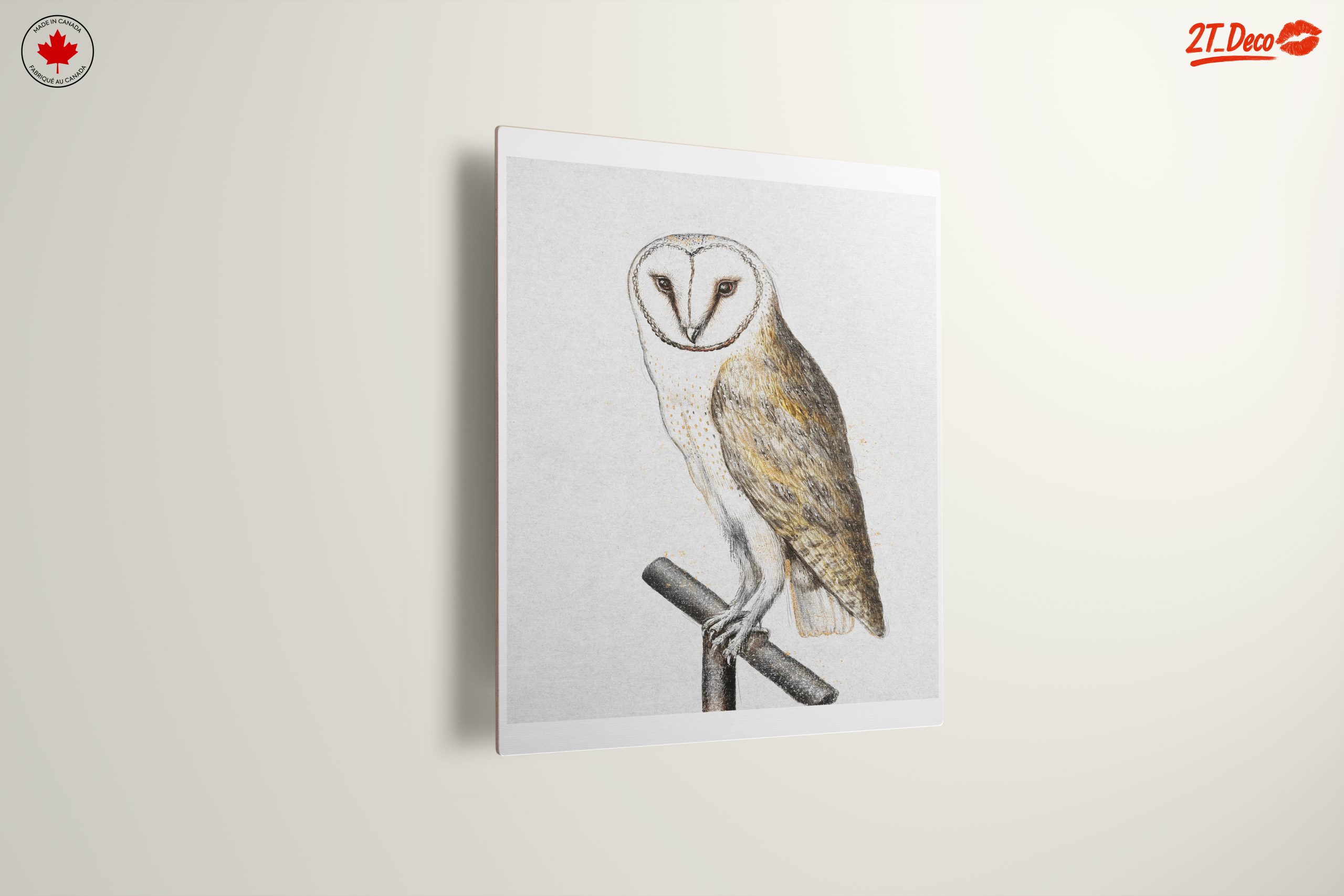 Illustration of a Barn Owl Perched - Image 13