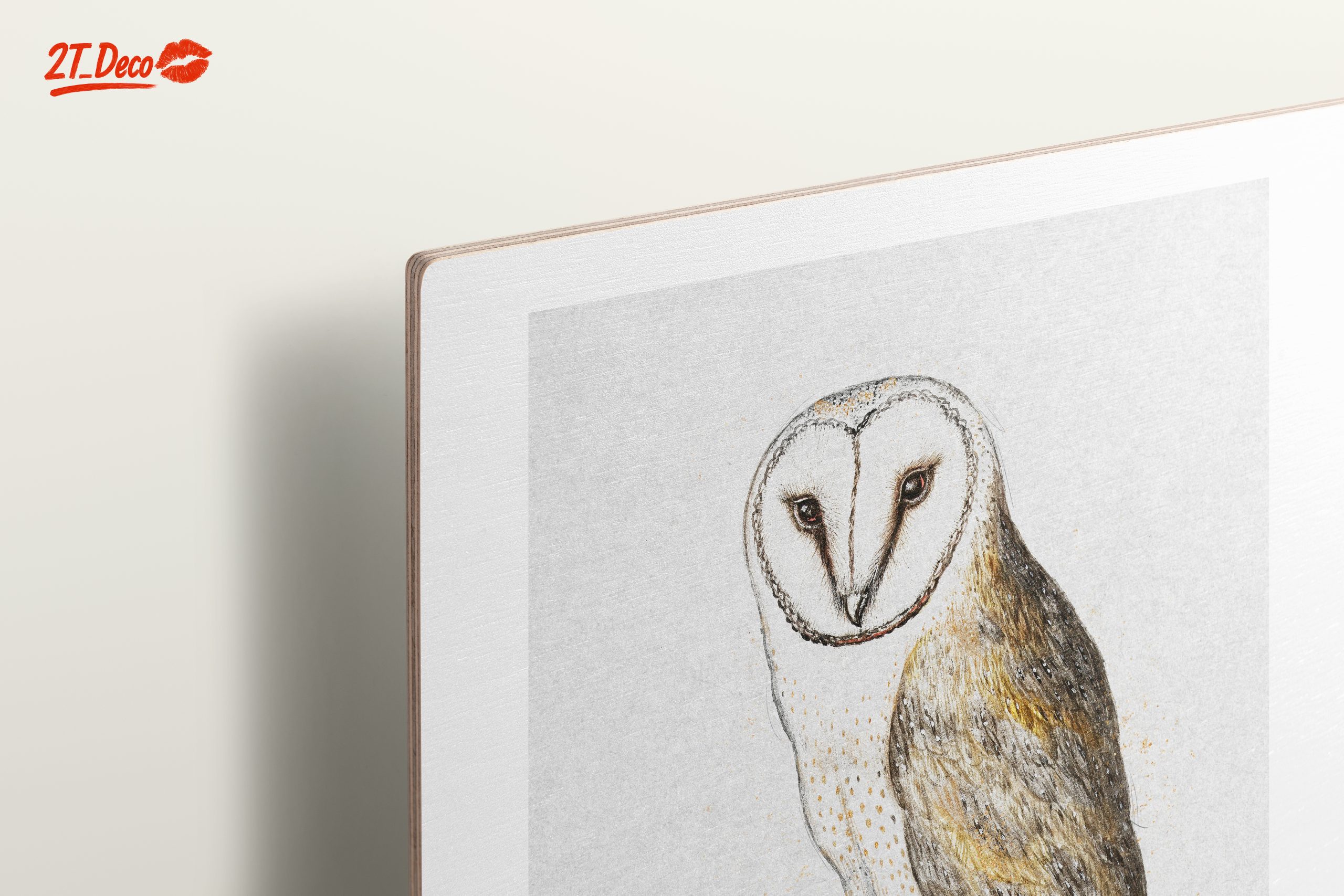 Illustration of a Barn Owl Perched - Image 15