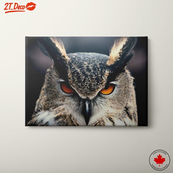 Majestic Owl Wall Art 4