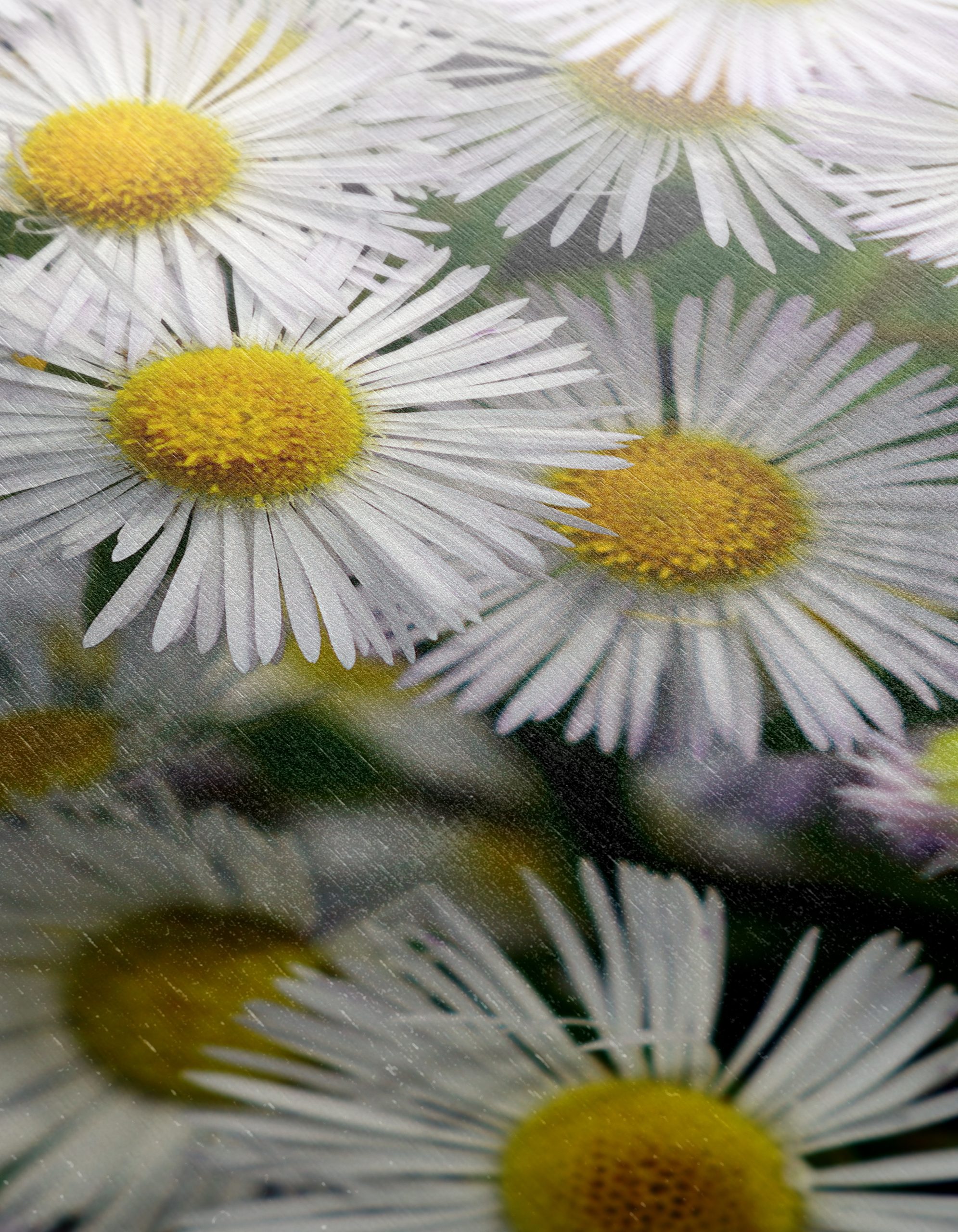 Vibrant Flower Bouquet Artwork - Image 12