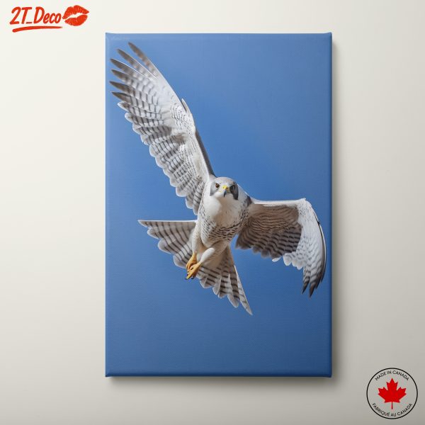 Stunning Bird in Flight Wall Art