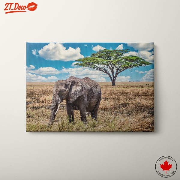 Majestic Elephant in Natural Habitat