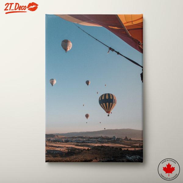 Hot Air Balloons Over Scenic Landscape