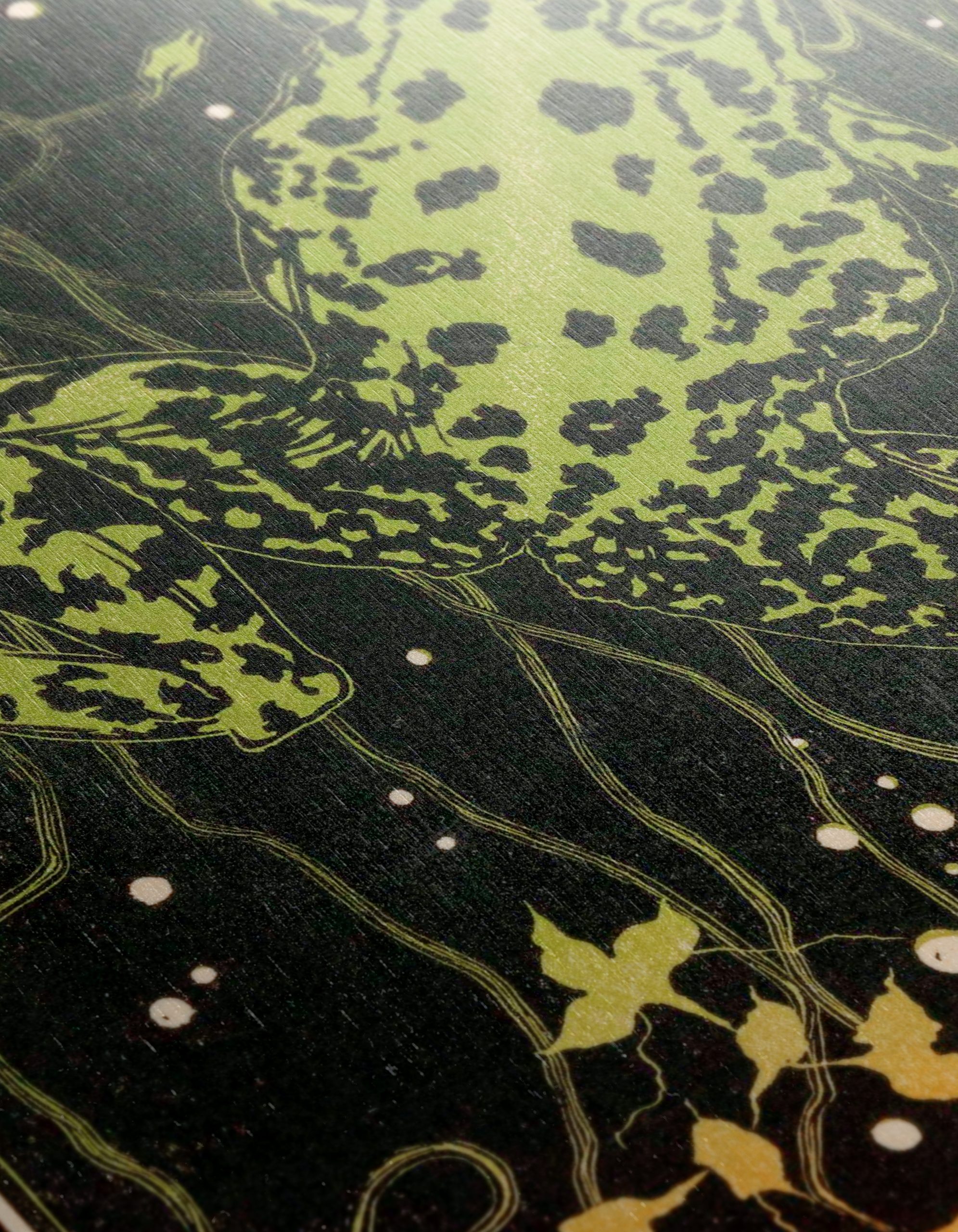 Vibrant Frog Illustration in Nature - Image 12