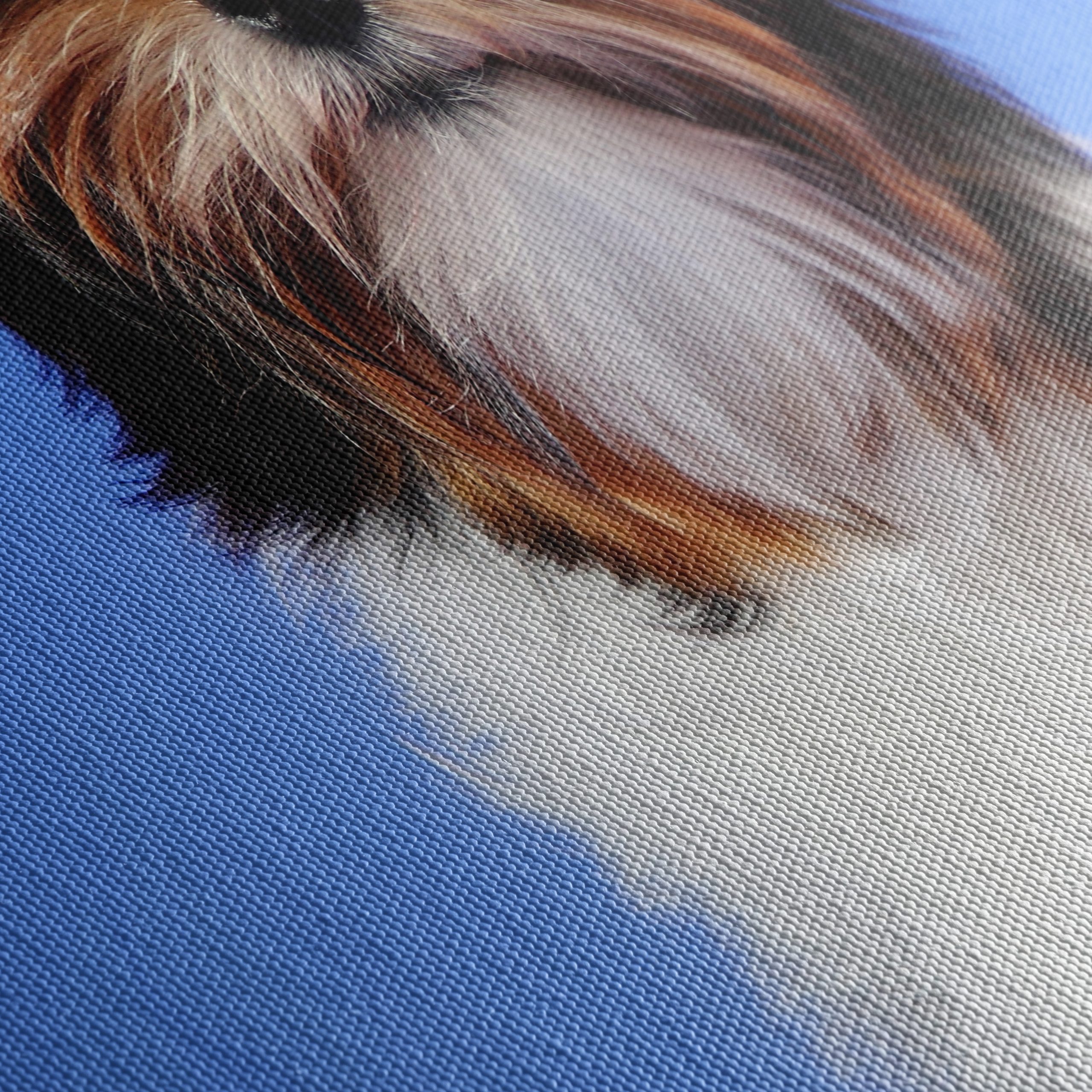 Cute Dog Portrait with Bow - Image 5