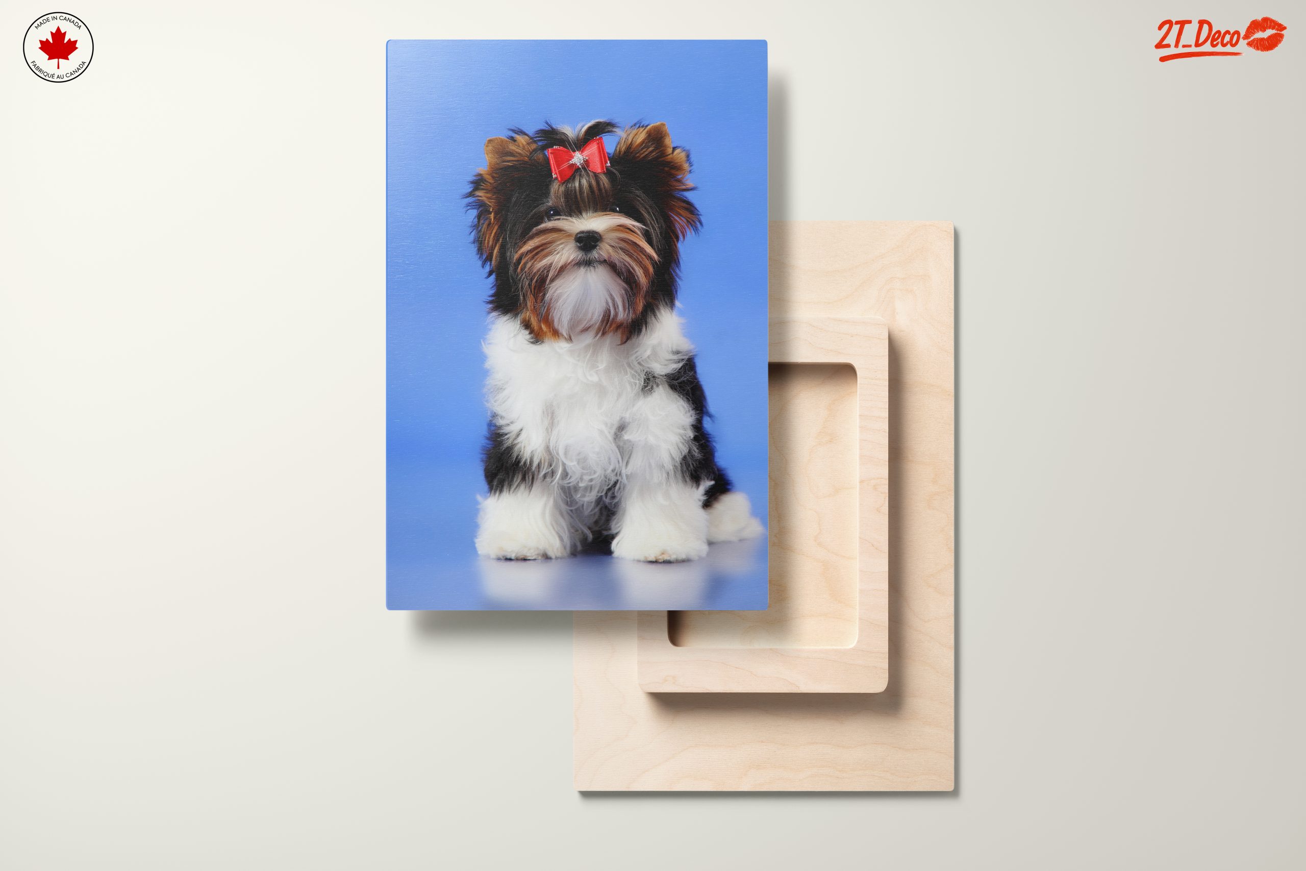 Cute Dog Portrait with Bow - Image 11