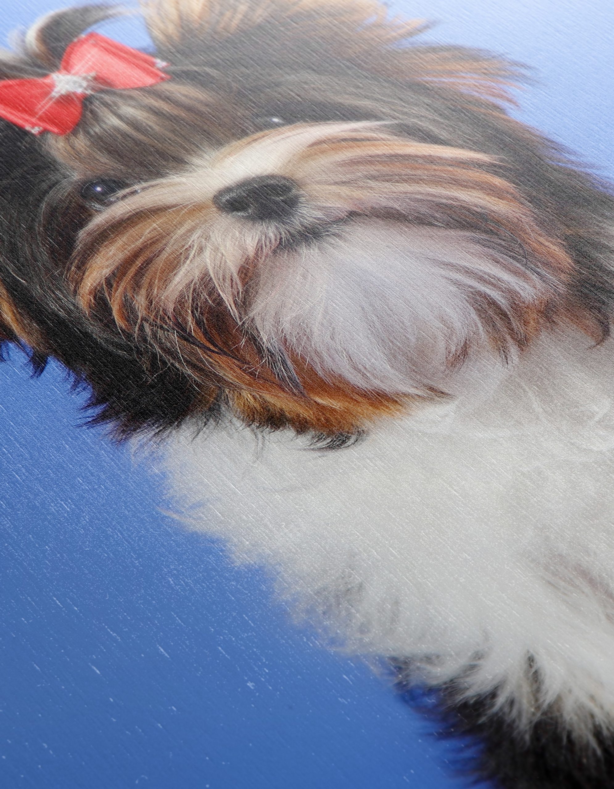 Cute Dog Portrait with Bow - Image 12