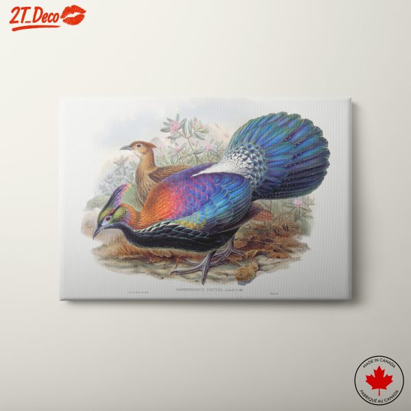 Vibrant Birds in Natural Setting