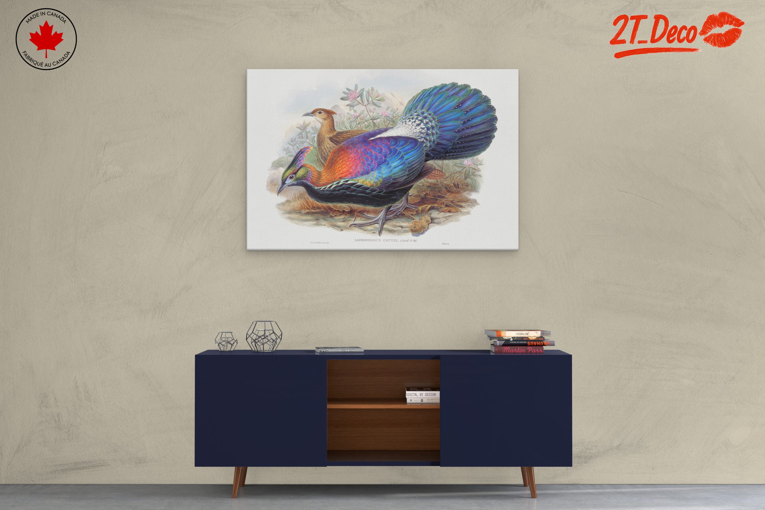 Vibrant Birds in Natural Setting - Image 3