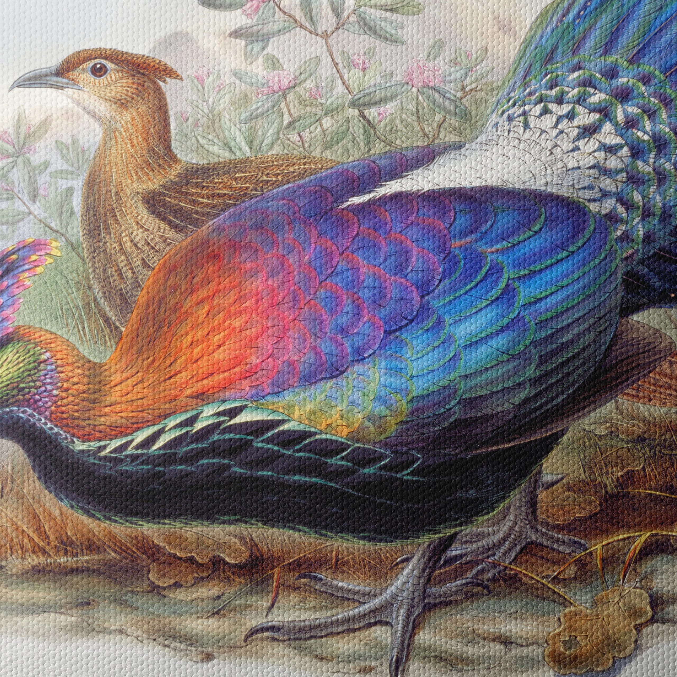 Vibrant Birds in Natural Setting - Image 4