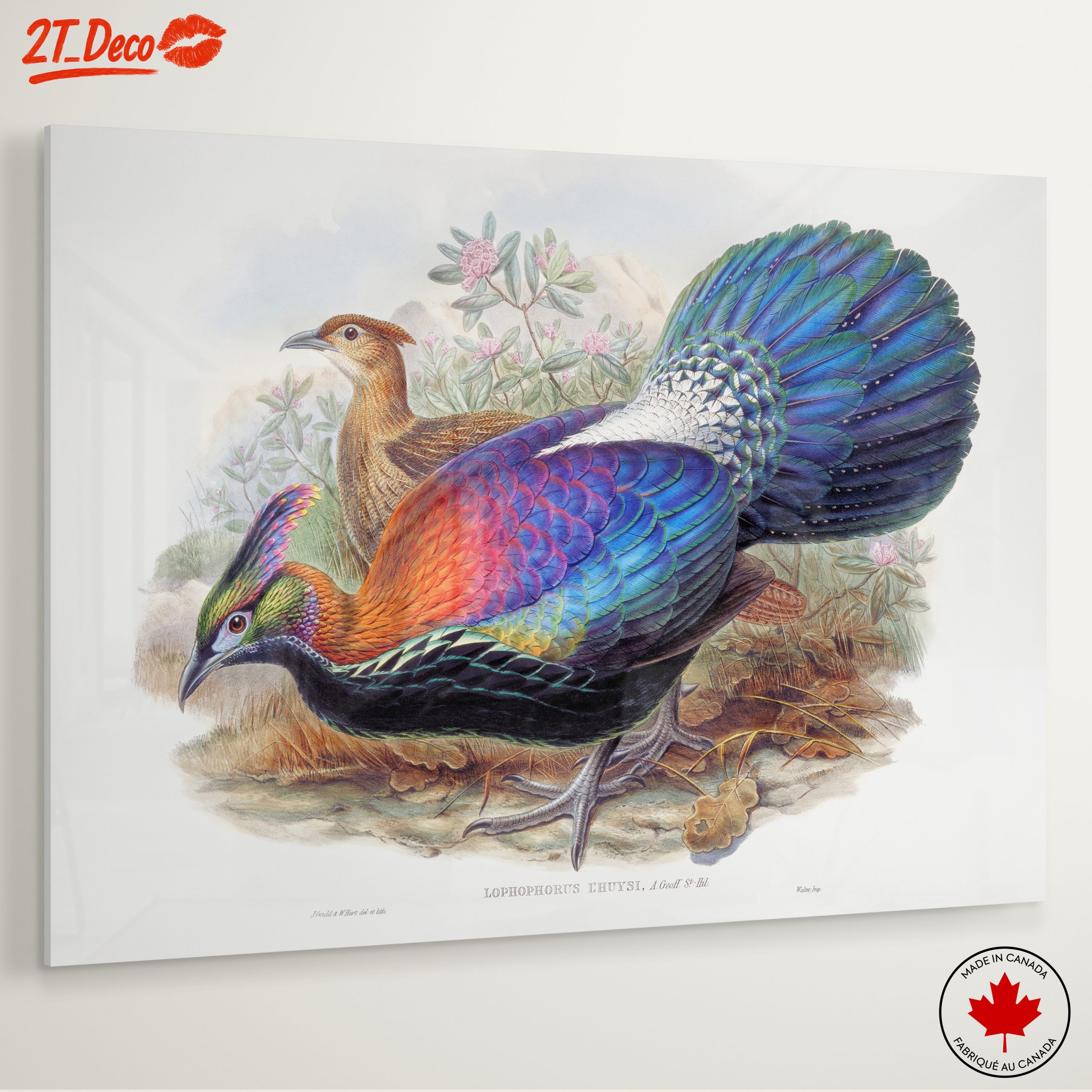 Vibrant Birds in Natural Setting - Image 6
