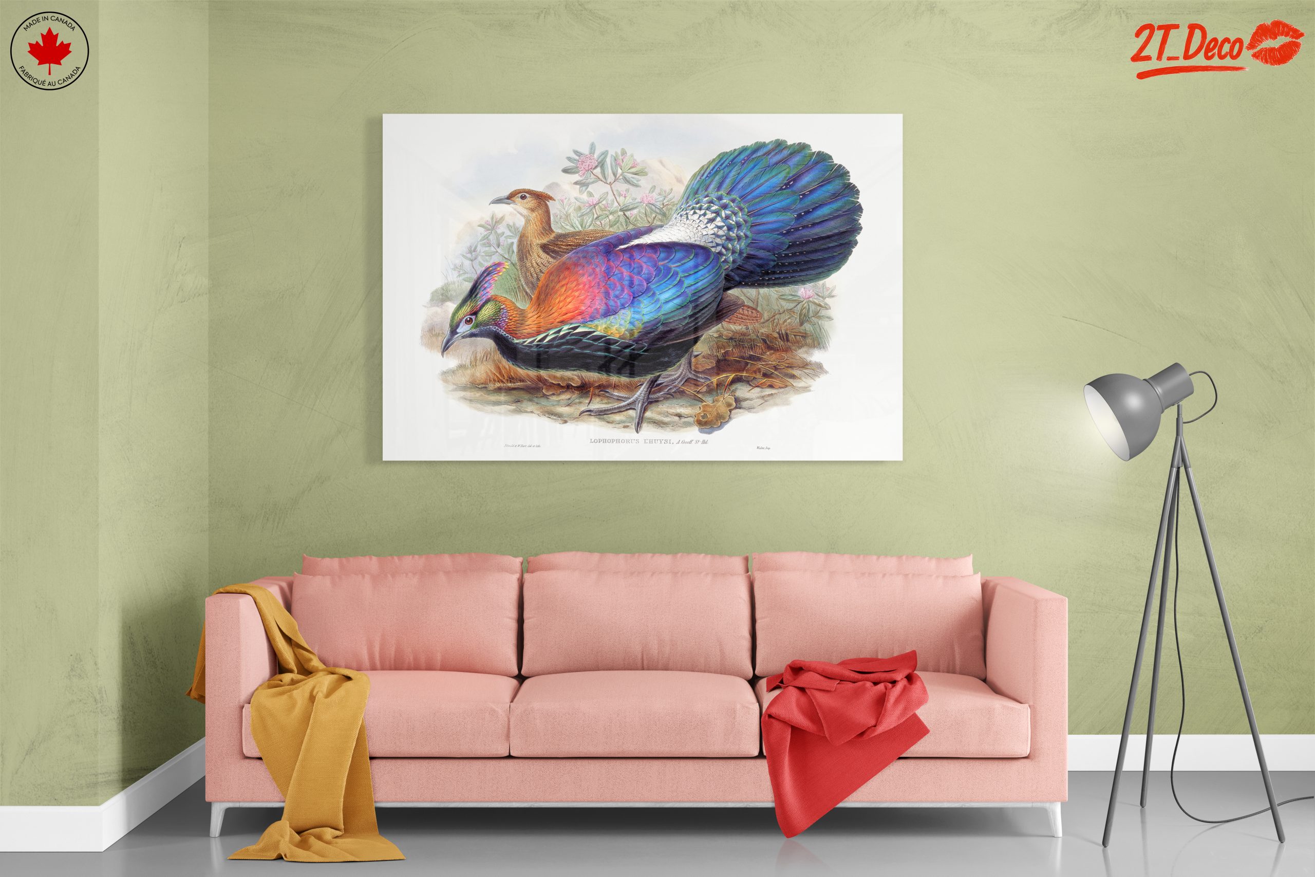 Vibrant Birds in Natural Setting - Image 7