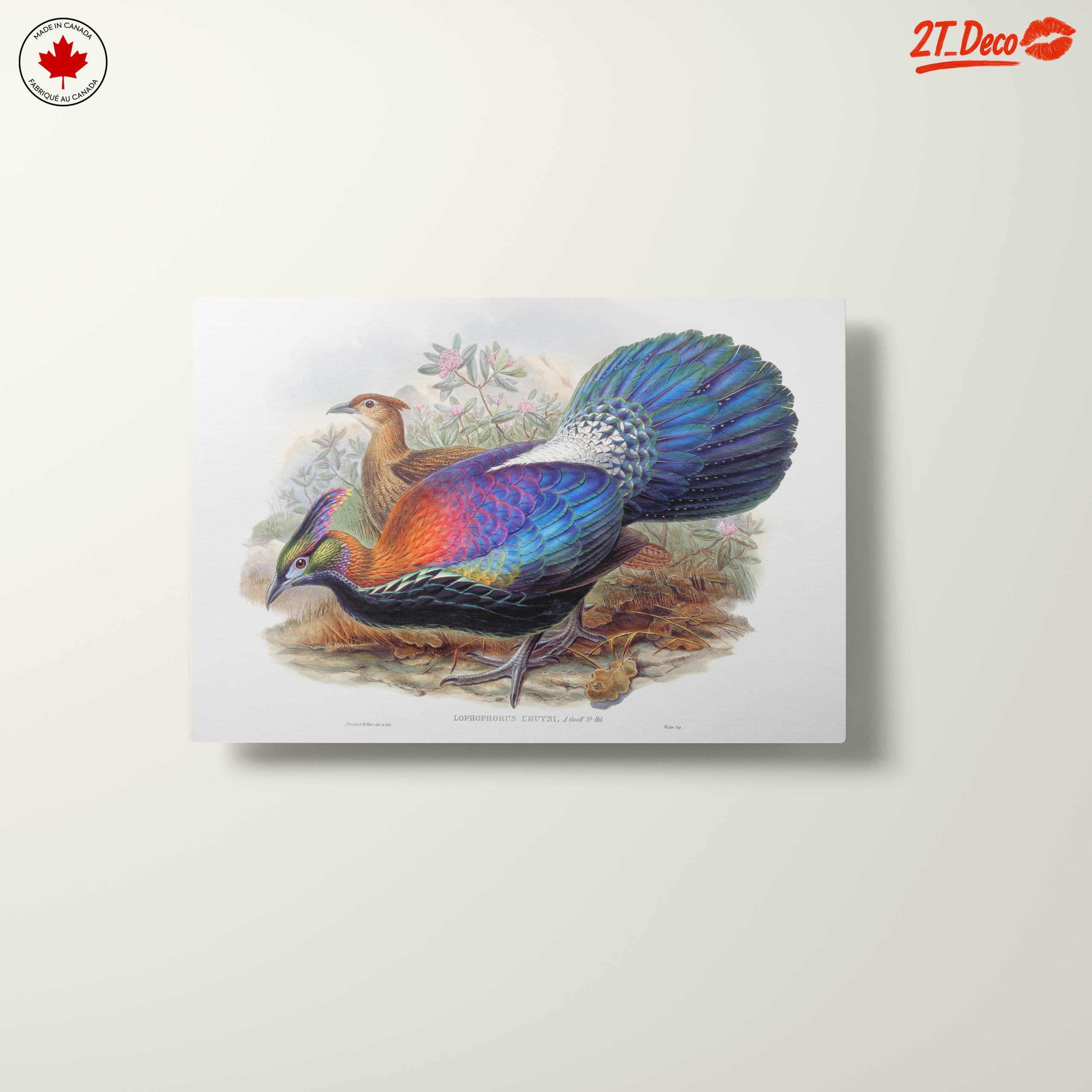 Vibrant Birds in Natural Setting - Image 10