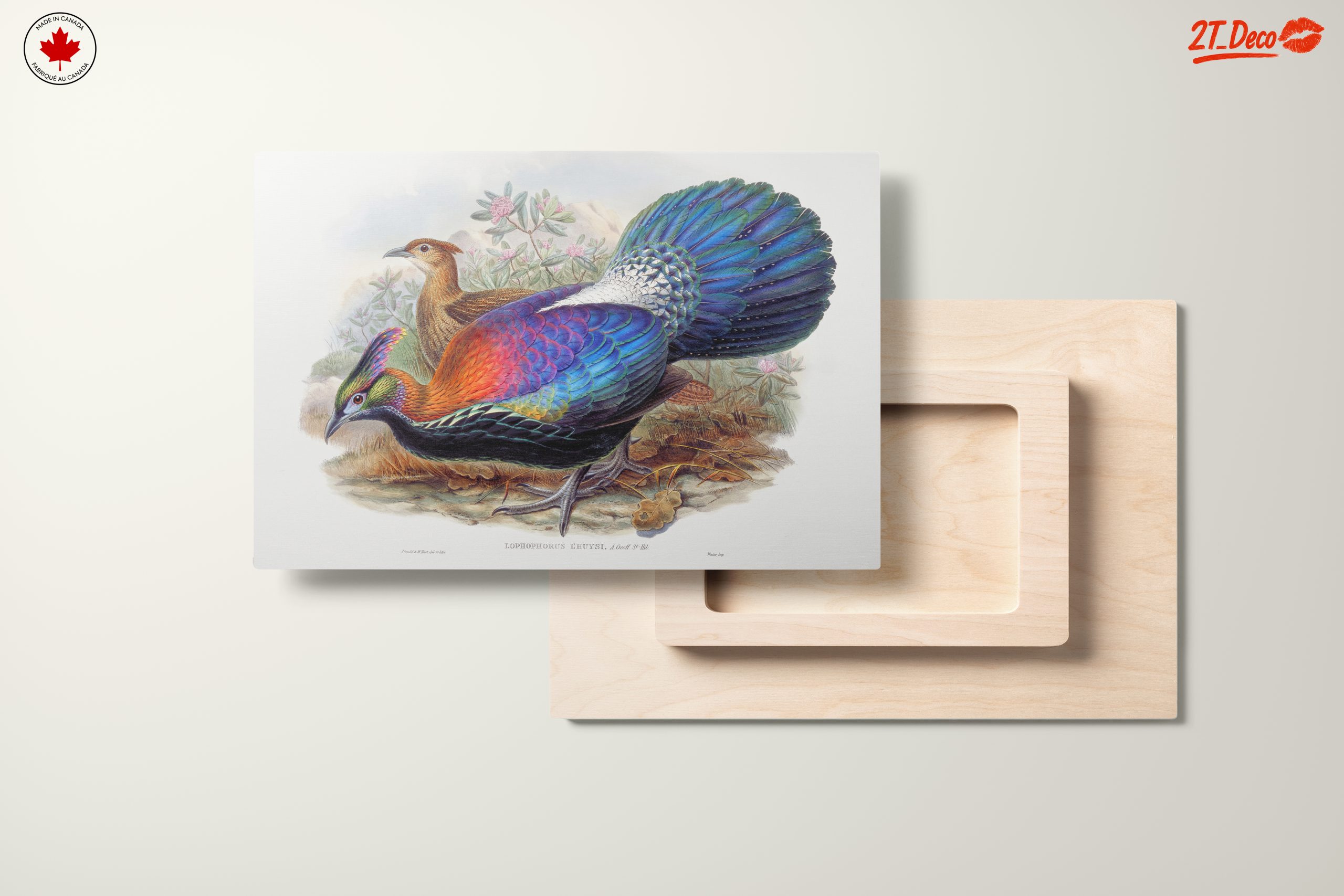 Vibrant Birds in Natural Setting - Image 11