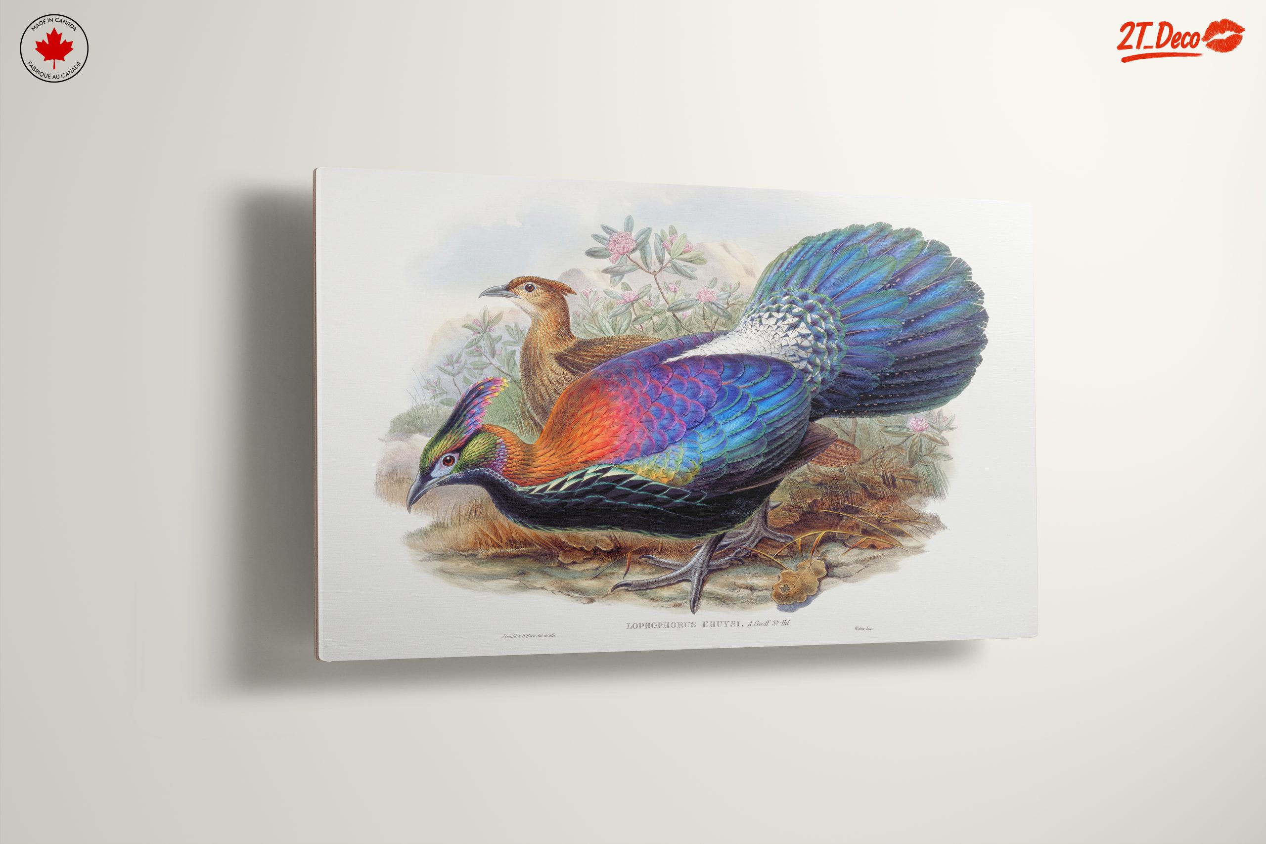 Vibrant Birds in Natural Setting - Image 13