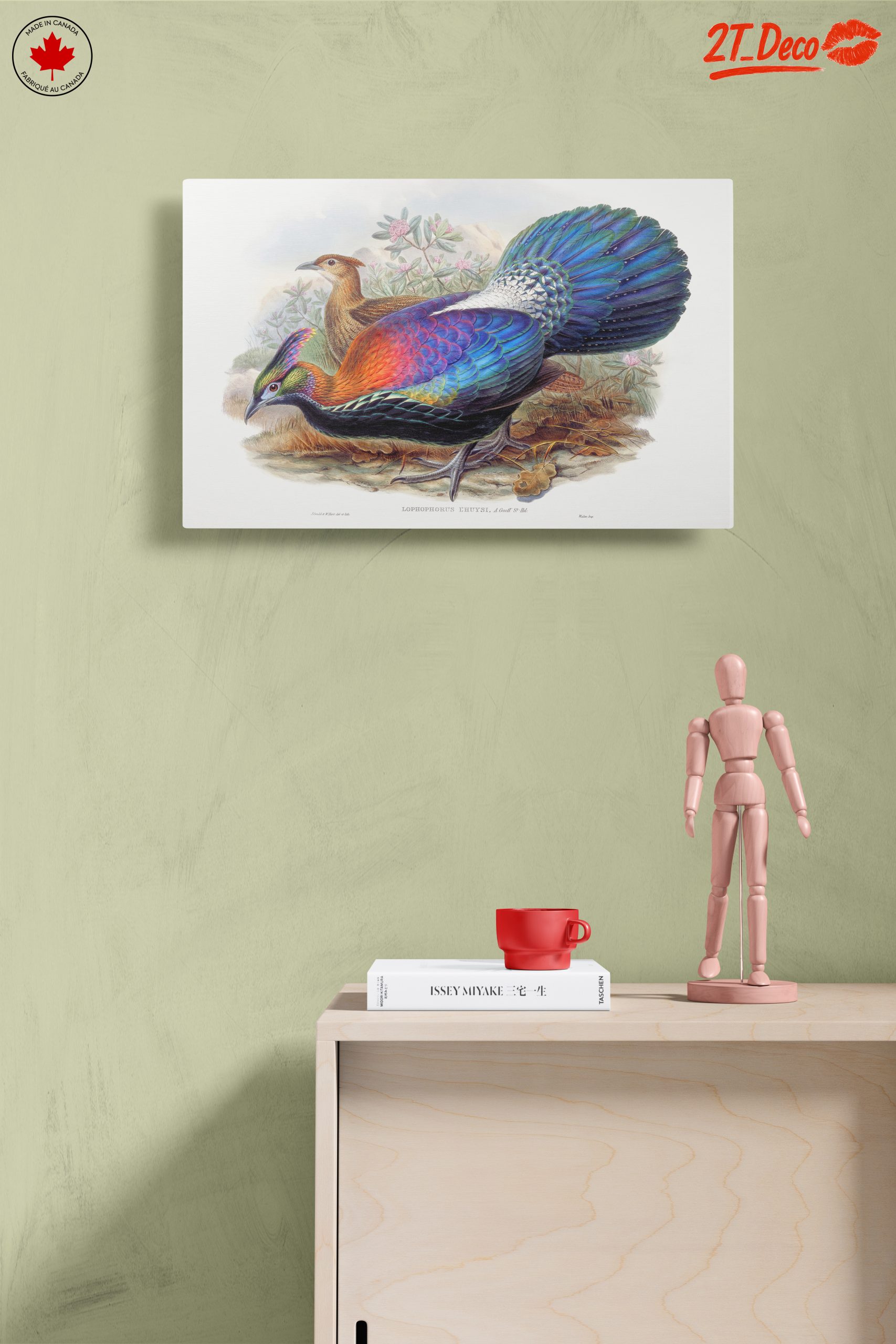 Vibrant Birds in Natural Setting - Image 14