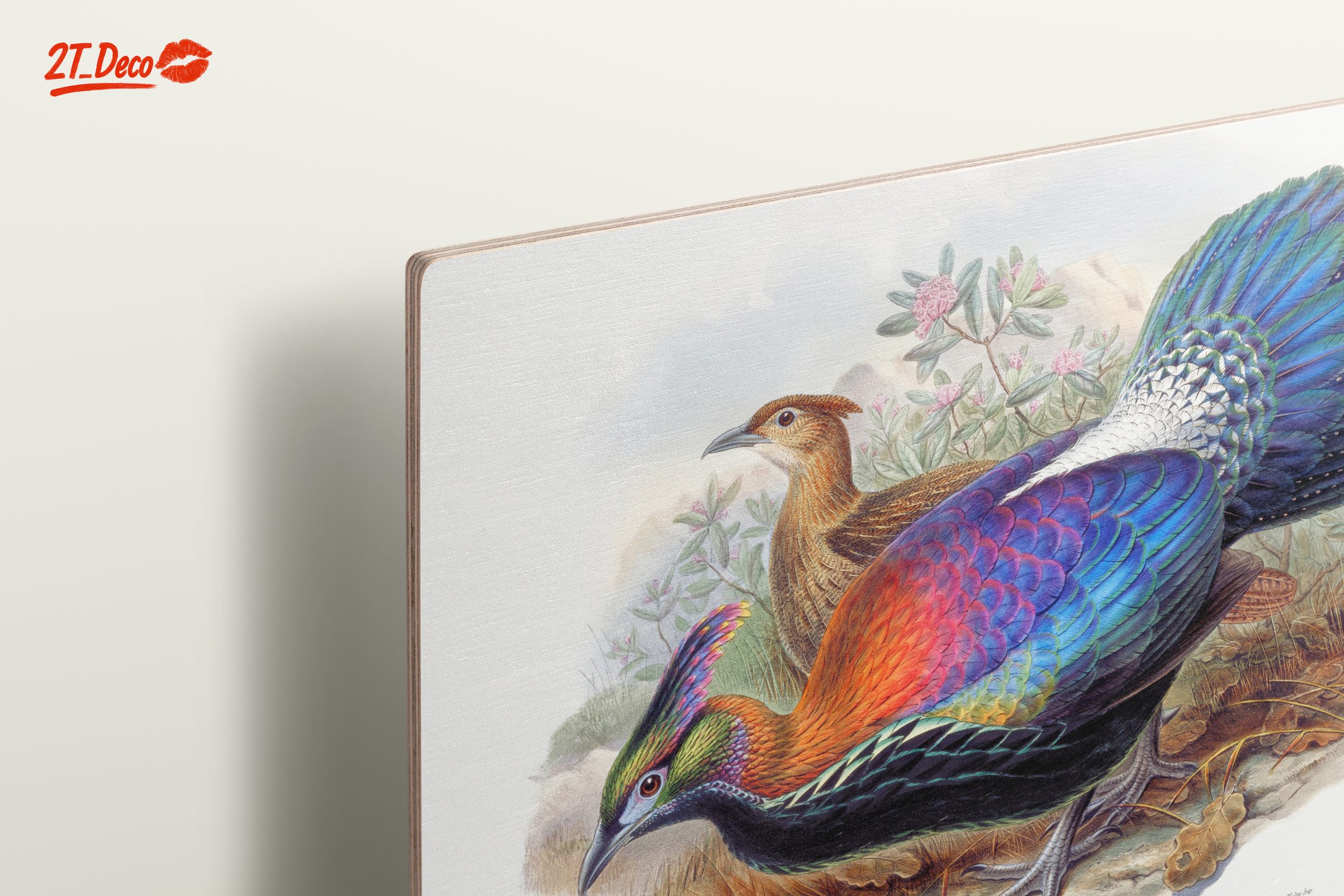 Vibrant Birds in Natural Setting - Image 15