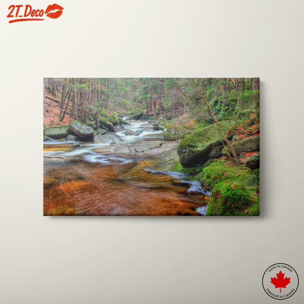 Serene Water Stream in Nature