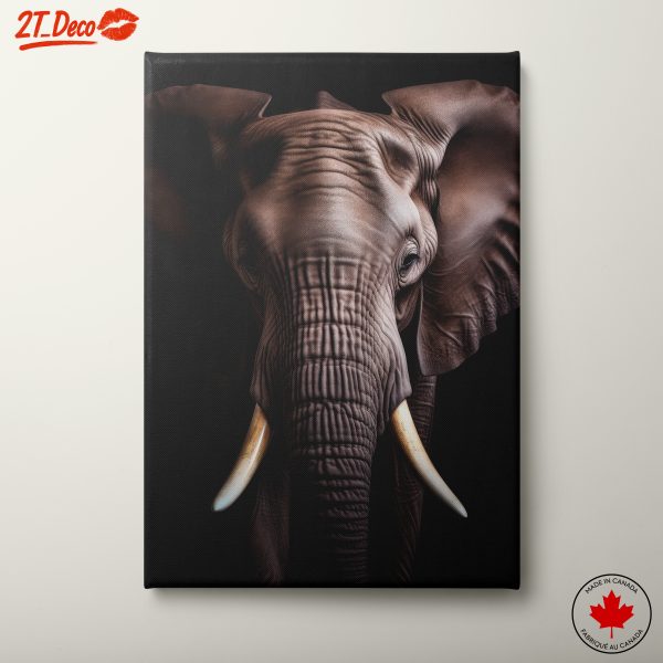 Close-Up Elephant Wall Art
