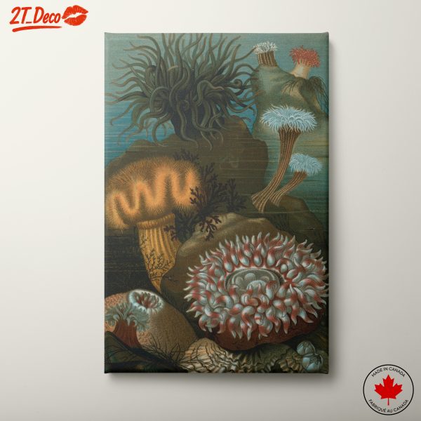 Underwater Scene with Vibrant Marine Life
