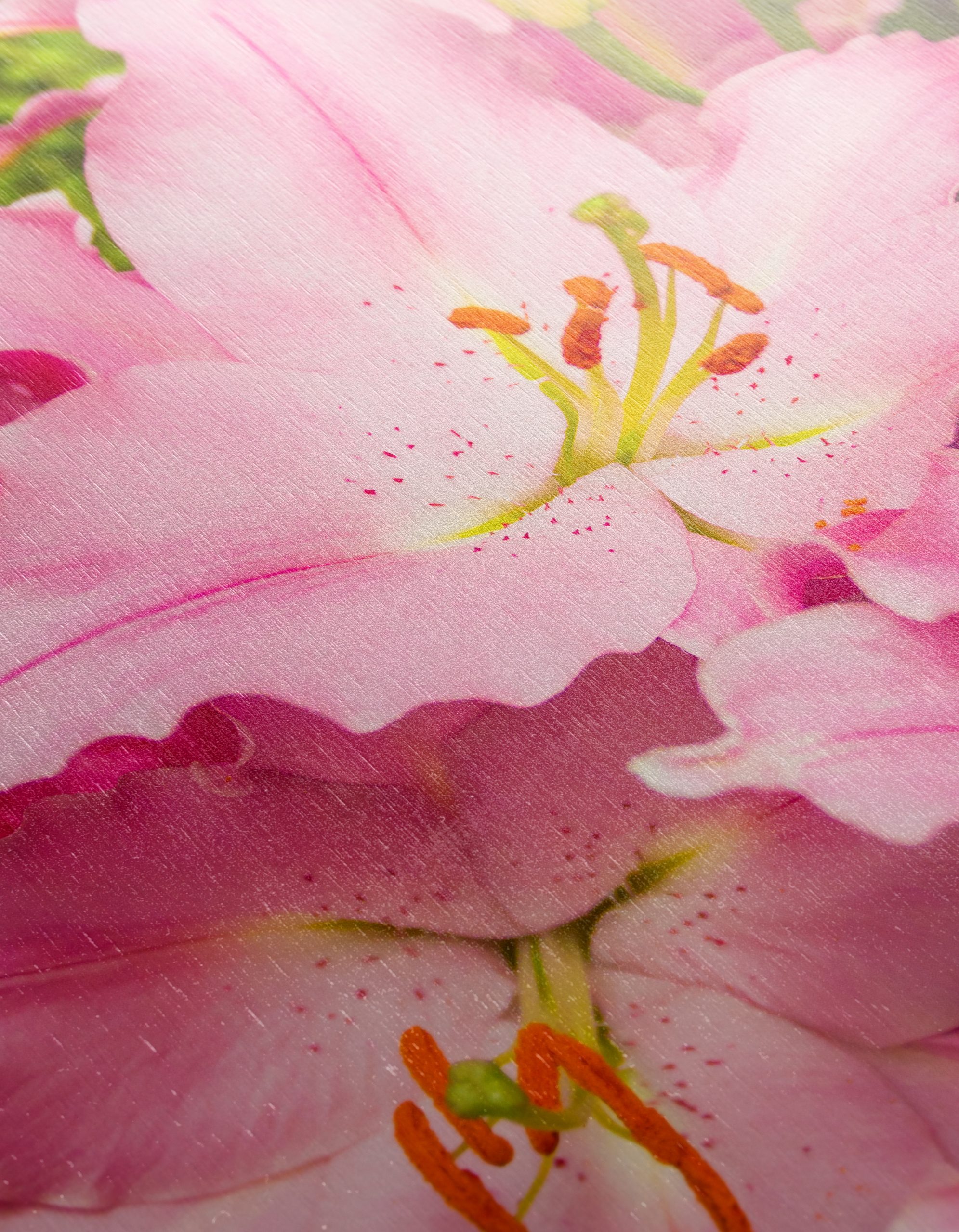 Vibrant Pink Flower Art 2 - Image 12