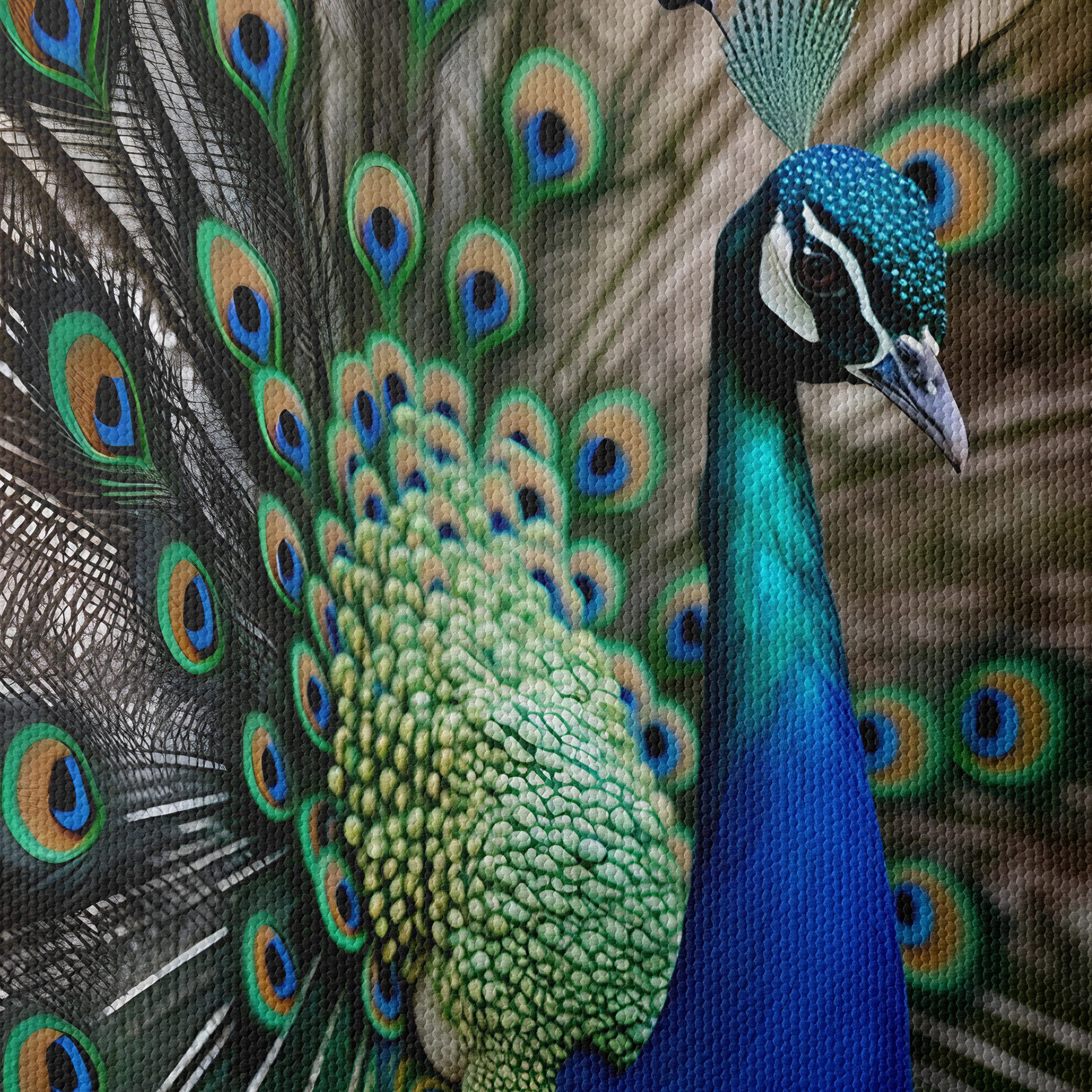 Vibrant Peacock Wall Art - Image 4
