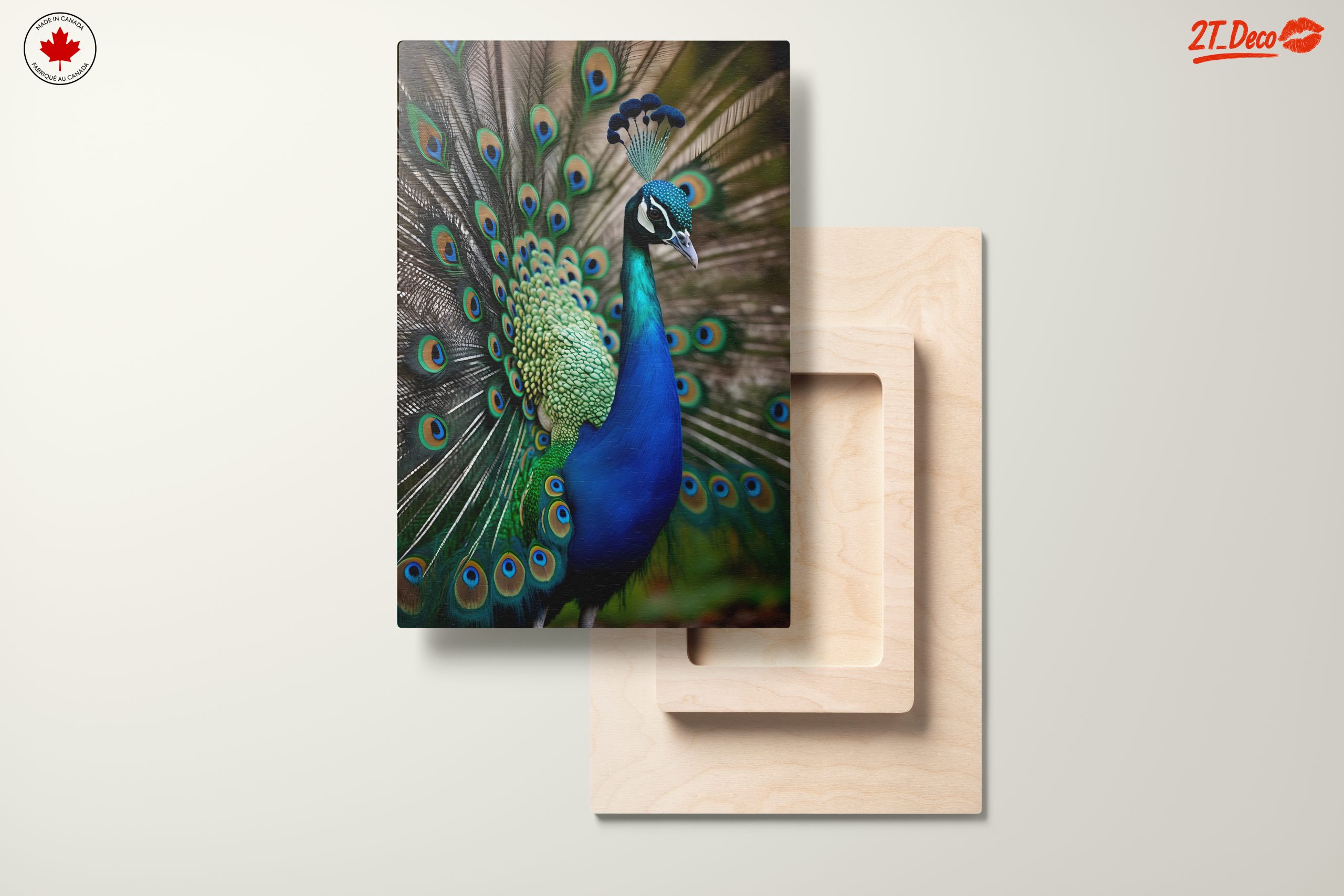 Vibrant Peacock Wall Art - Image 11