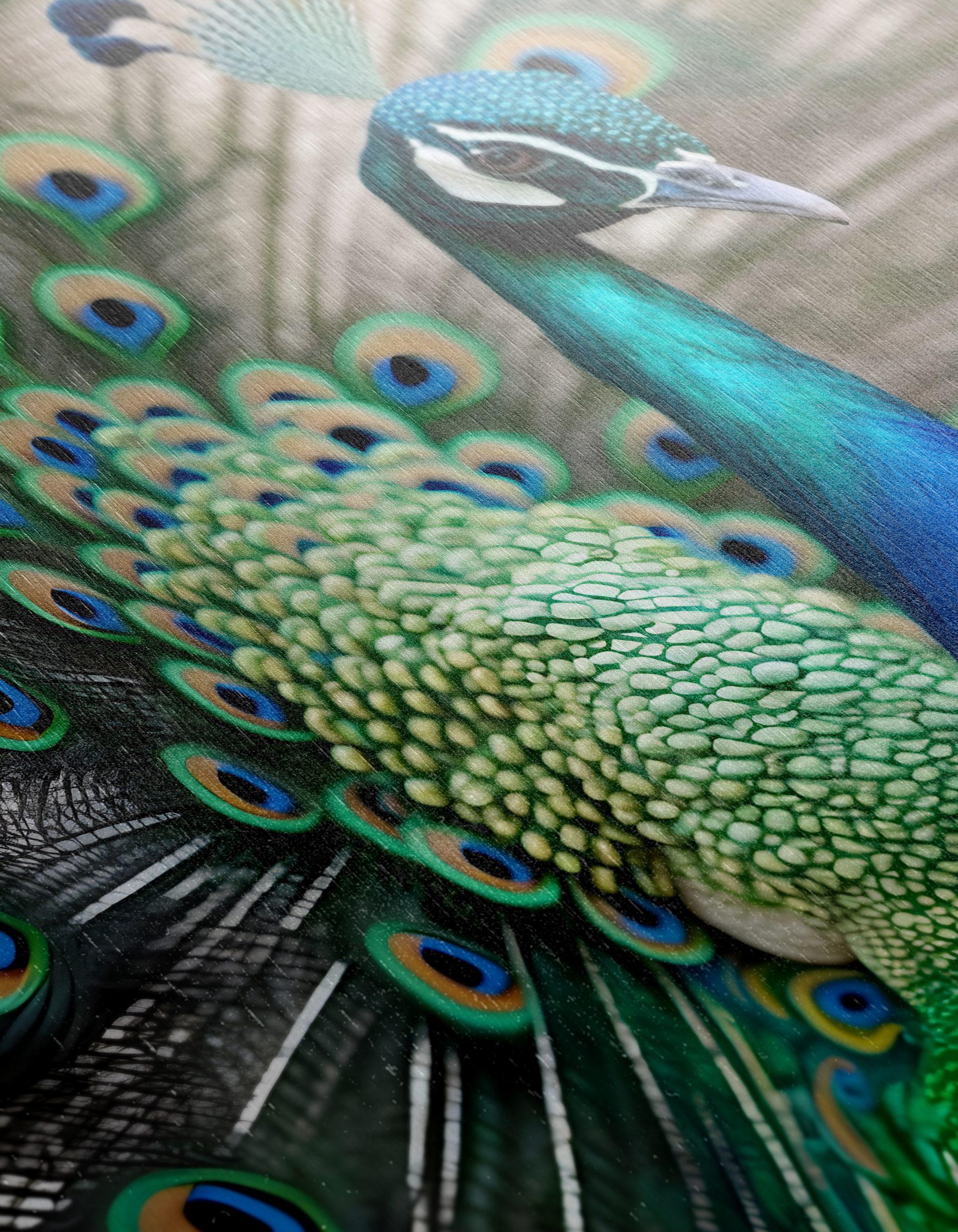 Vibrant Peacock Wall Art - Image 12