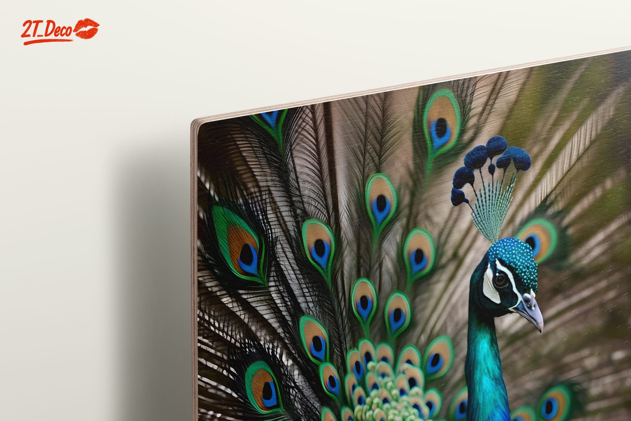 Vibrant Peacock Wall Art - Image 15