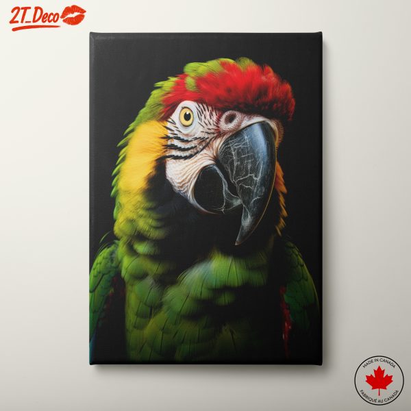 Vibrant Parrot Portrait on Black Background