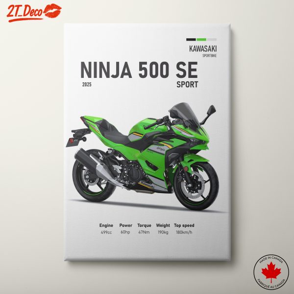 Kawasaki Ninja 500 SE Sport Motorcycle Art