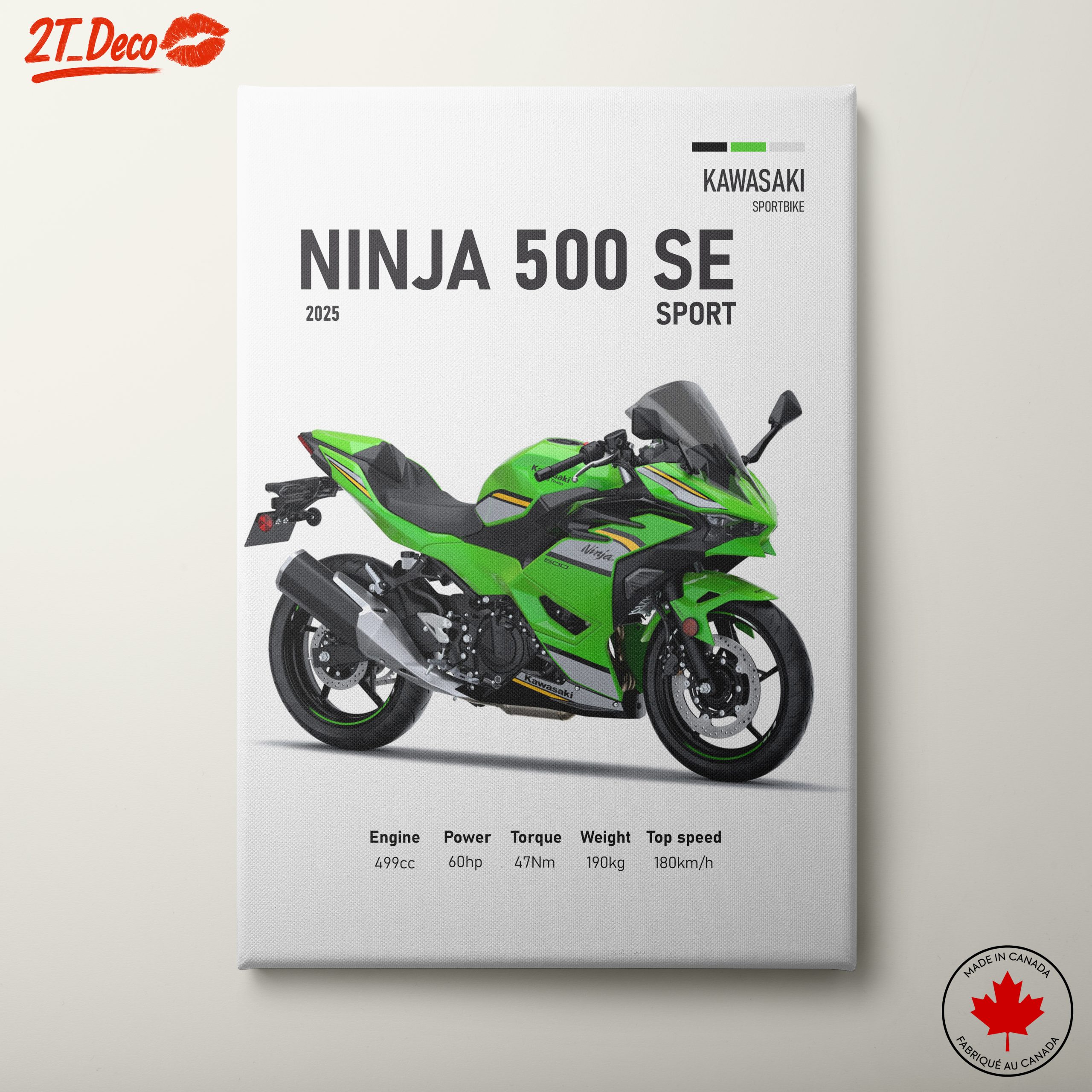 Kawasaki Ninja 500 SE Sport Motorcycle Art