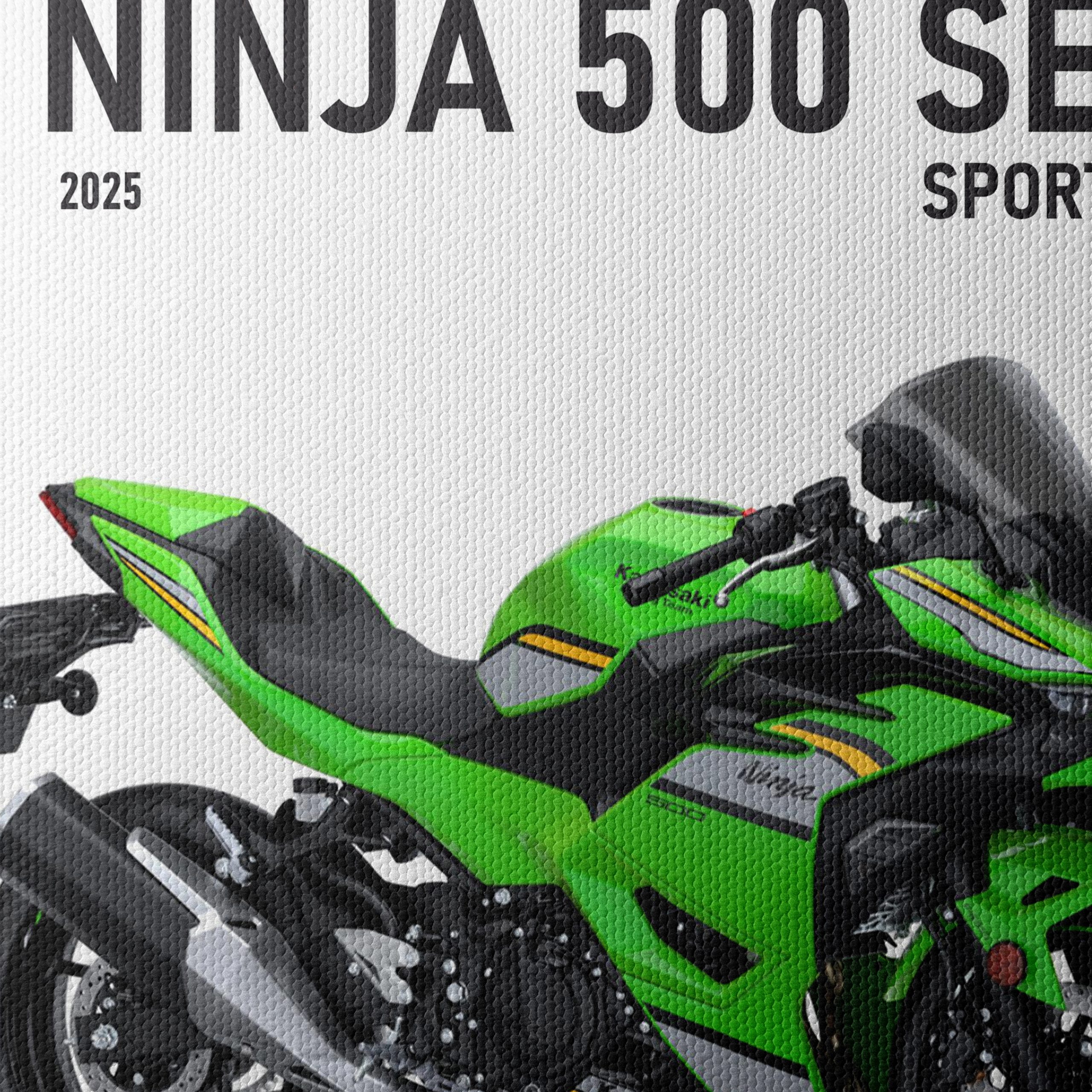 Kawasaki Ninja 500 SE Sport Motorcycle Art - Image 4
