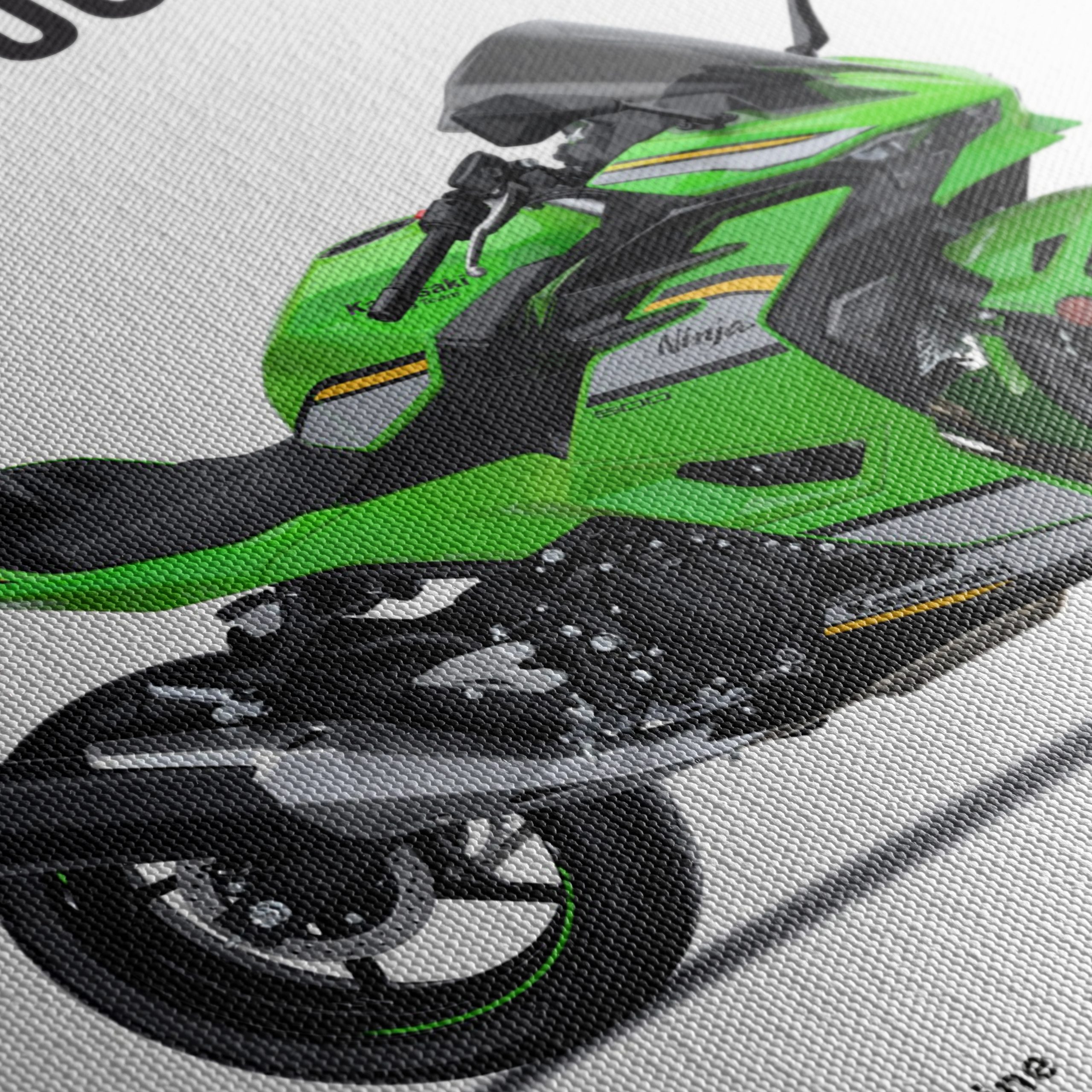 Kawasaki Ninja 500 SE Sport Motorcycle Art - Image 5