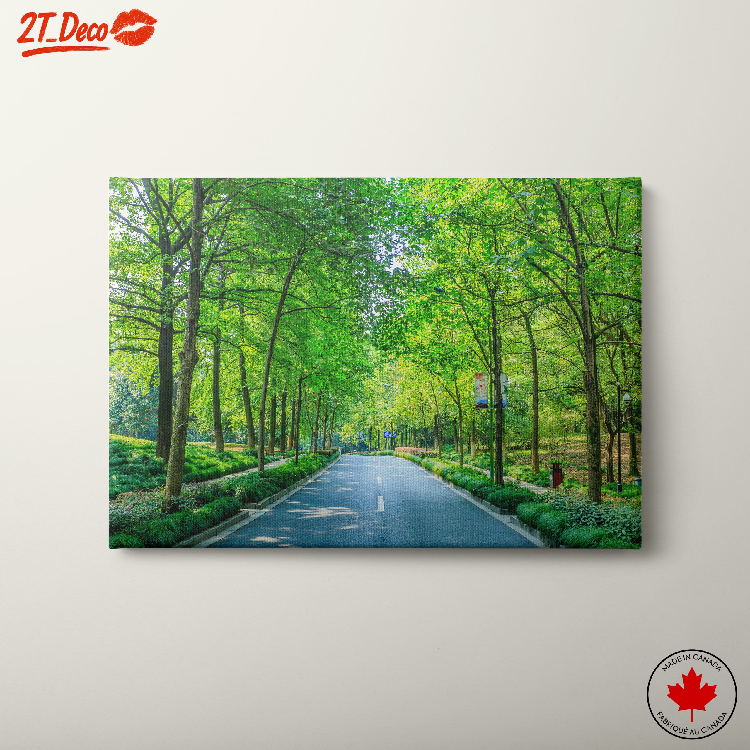 Serene Tree-Lined Path in Nature