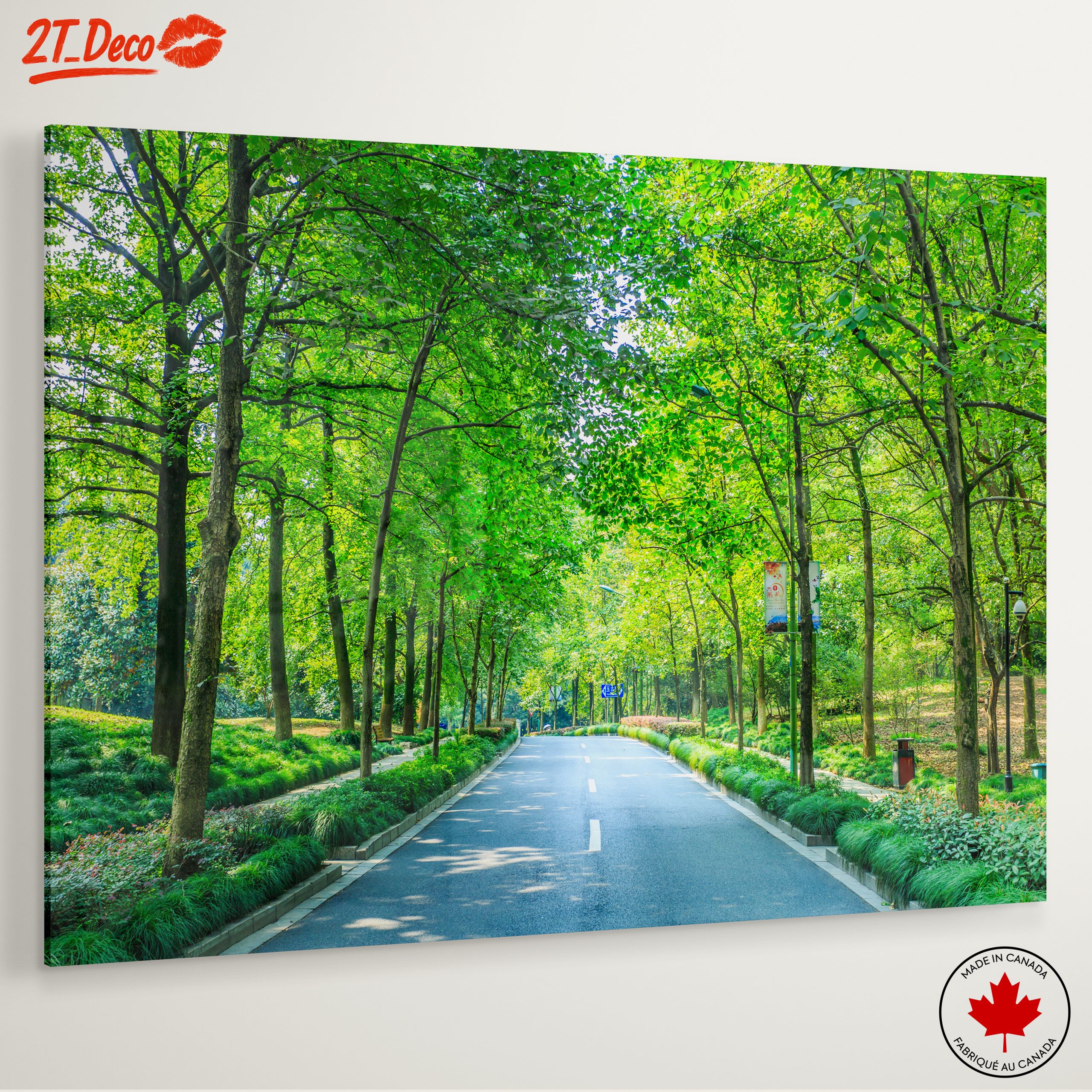 Serene Tree-Lined Path in Nature - Image 6