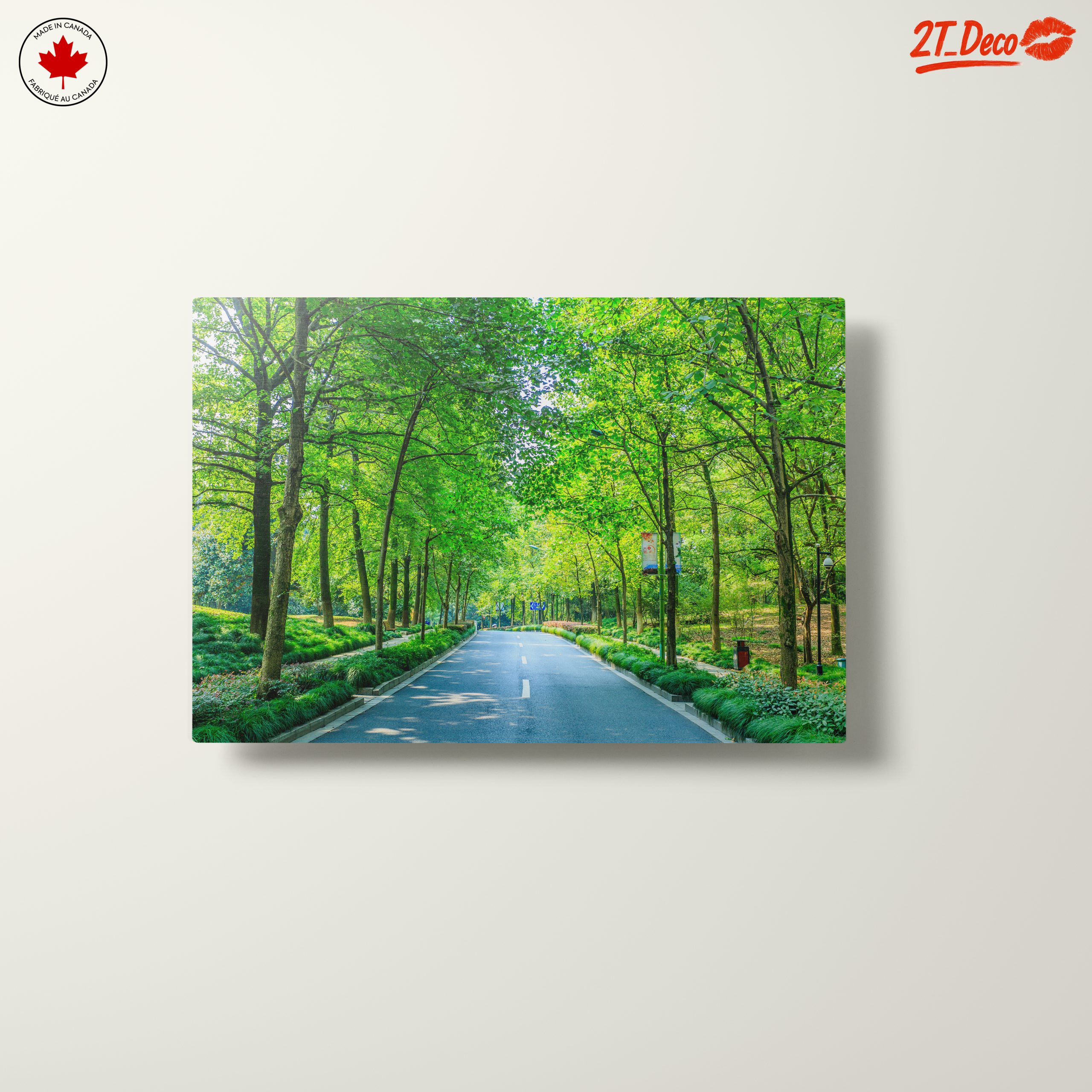 Serene Tree-Lined Path in Nature - Image 10
