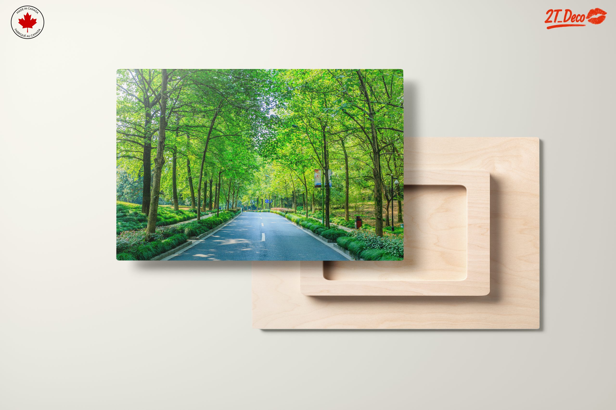 Serene Tree-Lined Path in Nature - Image 11