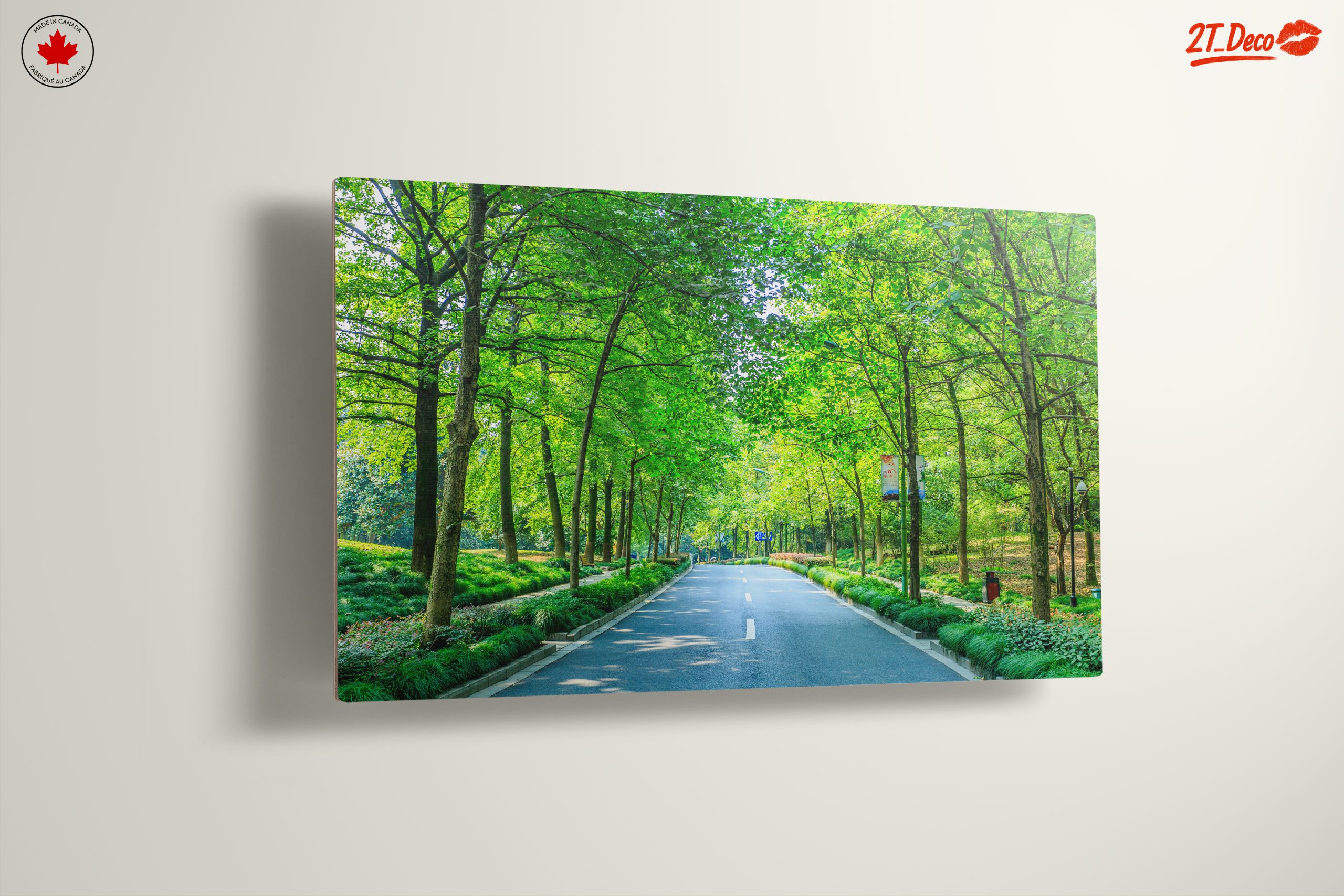 Serene Tree-Lined Path in Nature - Image 13